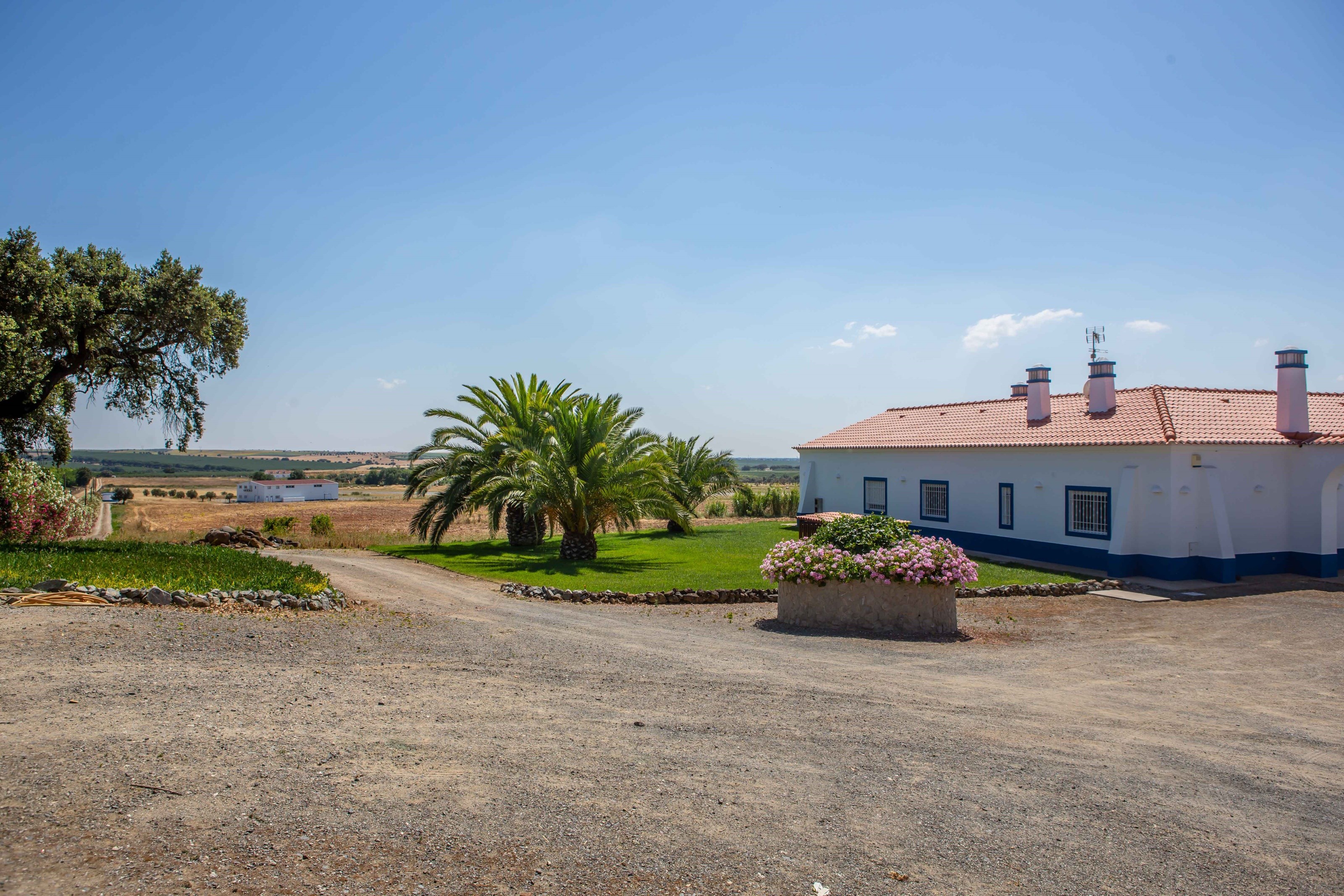 Ferreira do Alentejo, Beja, 7900-110, PT, 10 Bedrooms Bedrooms, ,11 BathroomsBathrooms,Residential,For Sale,1698854