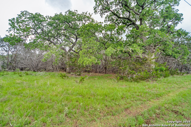 Bandera, Texas, 78003, United States, ,Residential,For Sale,1792989