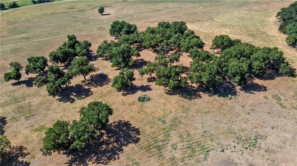 Reagan, Texas, 76680, United States, ,Land,For Sale,1933439