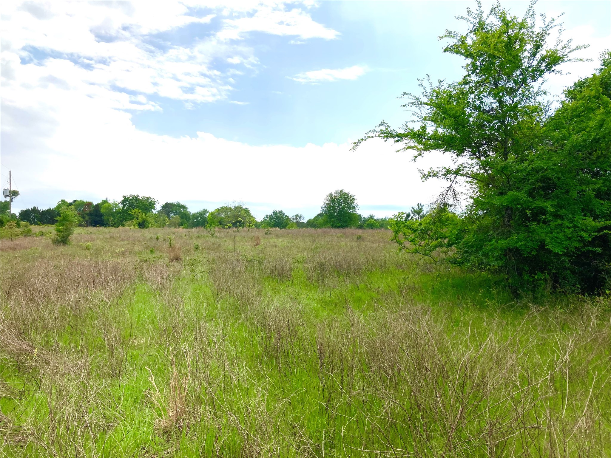  775 S Fm 441 Road - 物件實景