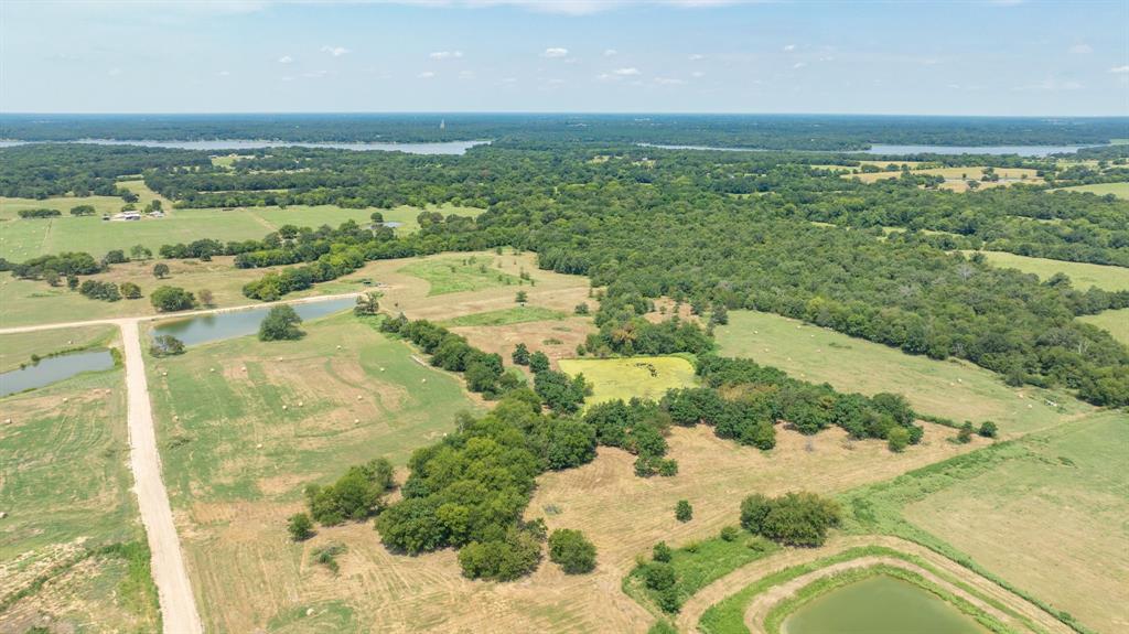 Yantis, Texas, 75497, United States, ,Land,For Sale,1917714