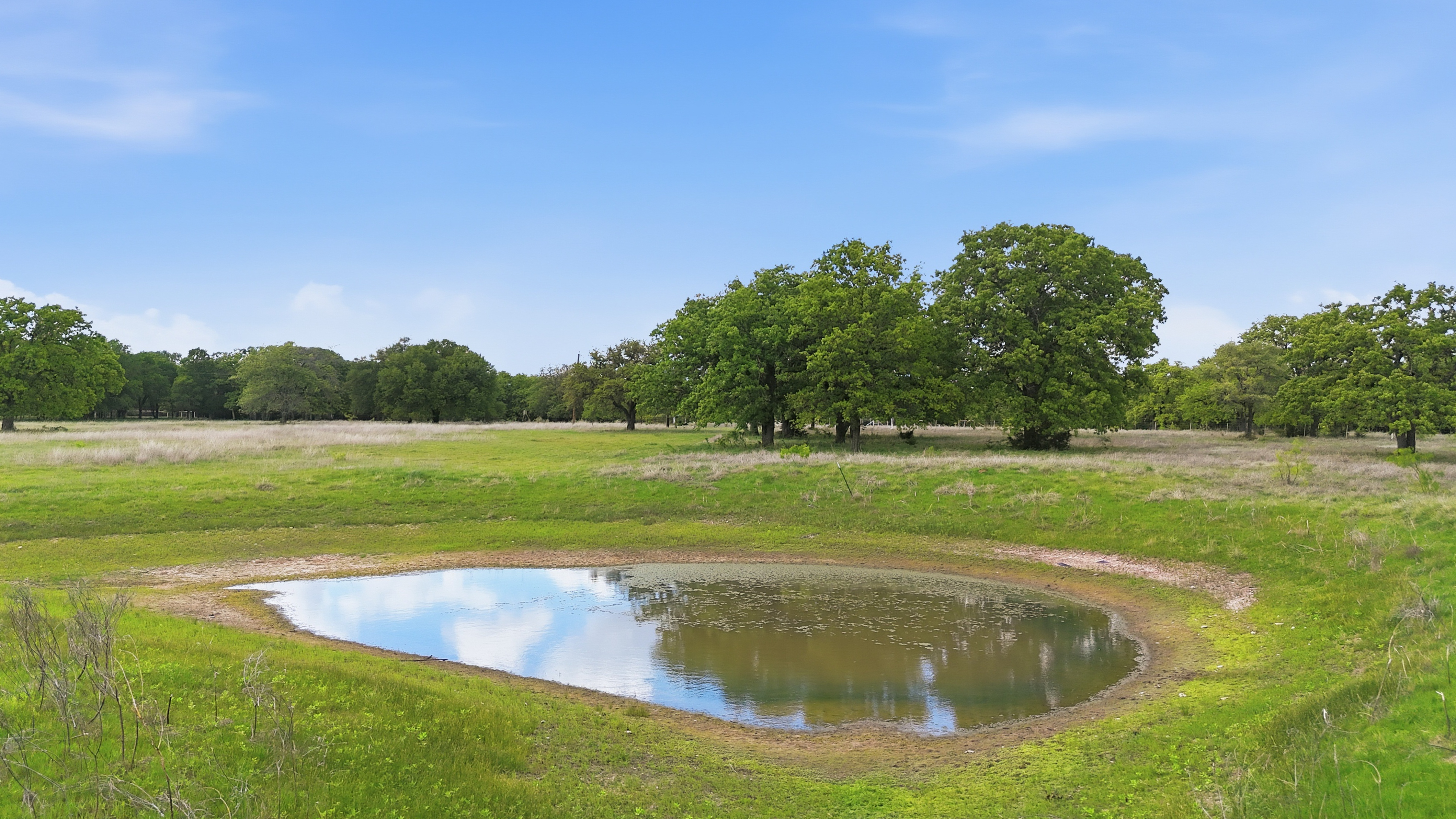  400 River Ranch Road, Aledo, TX, 76008 - 物件實景