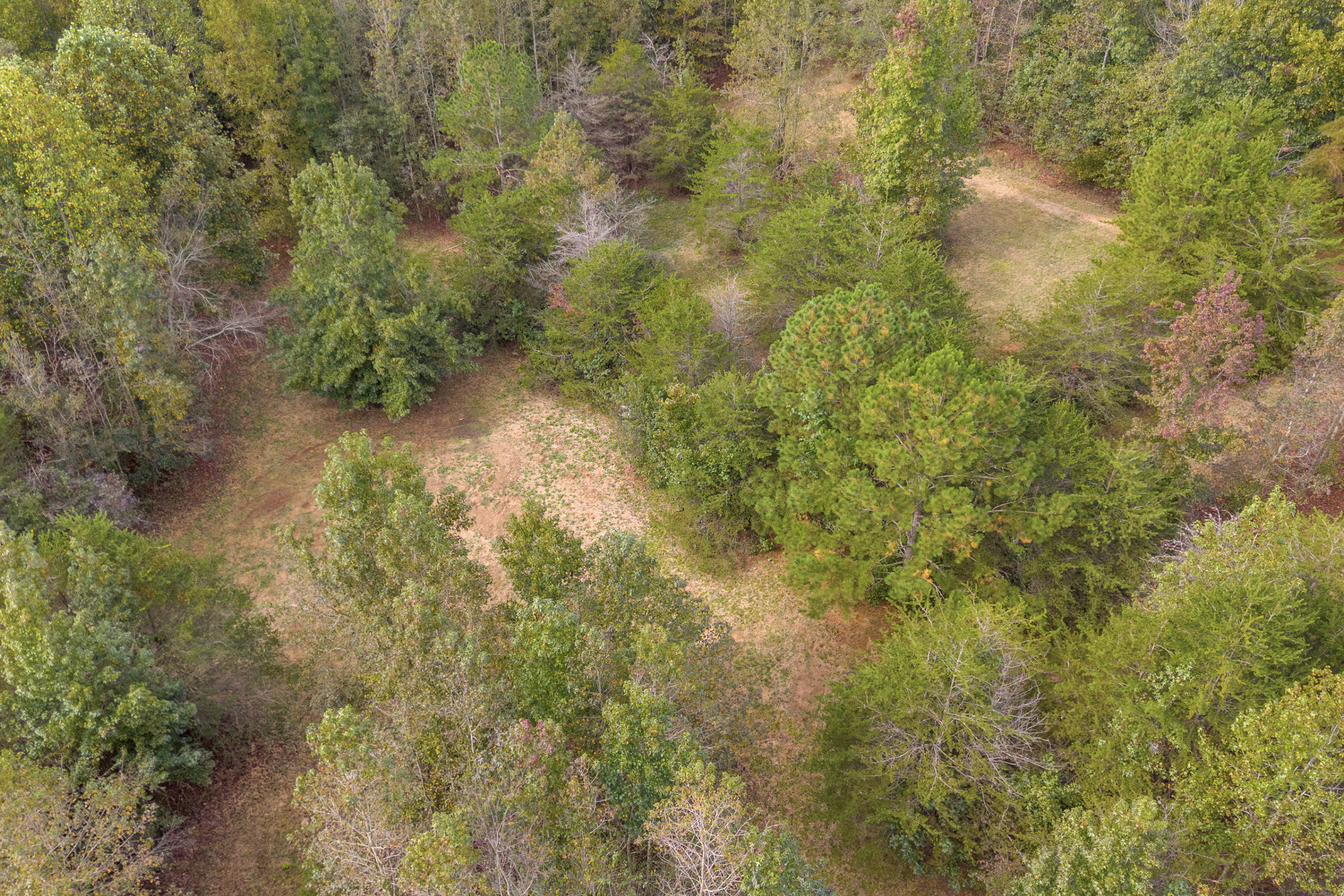 Cleveland, Georgia, 30528, United States, 3 Bedrooms Bedrooms, ,2 BathroomsBathrooms,Residential,For Sale,1979350