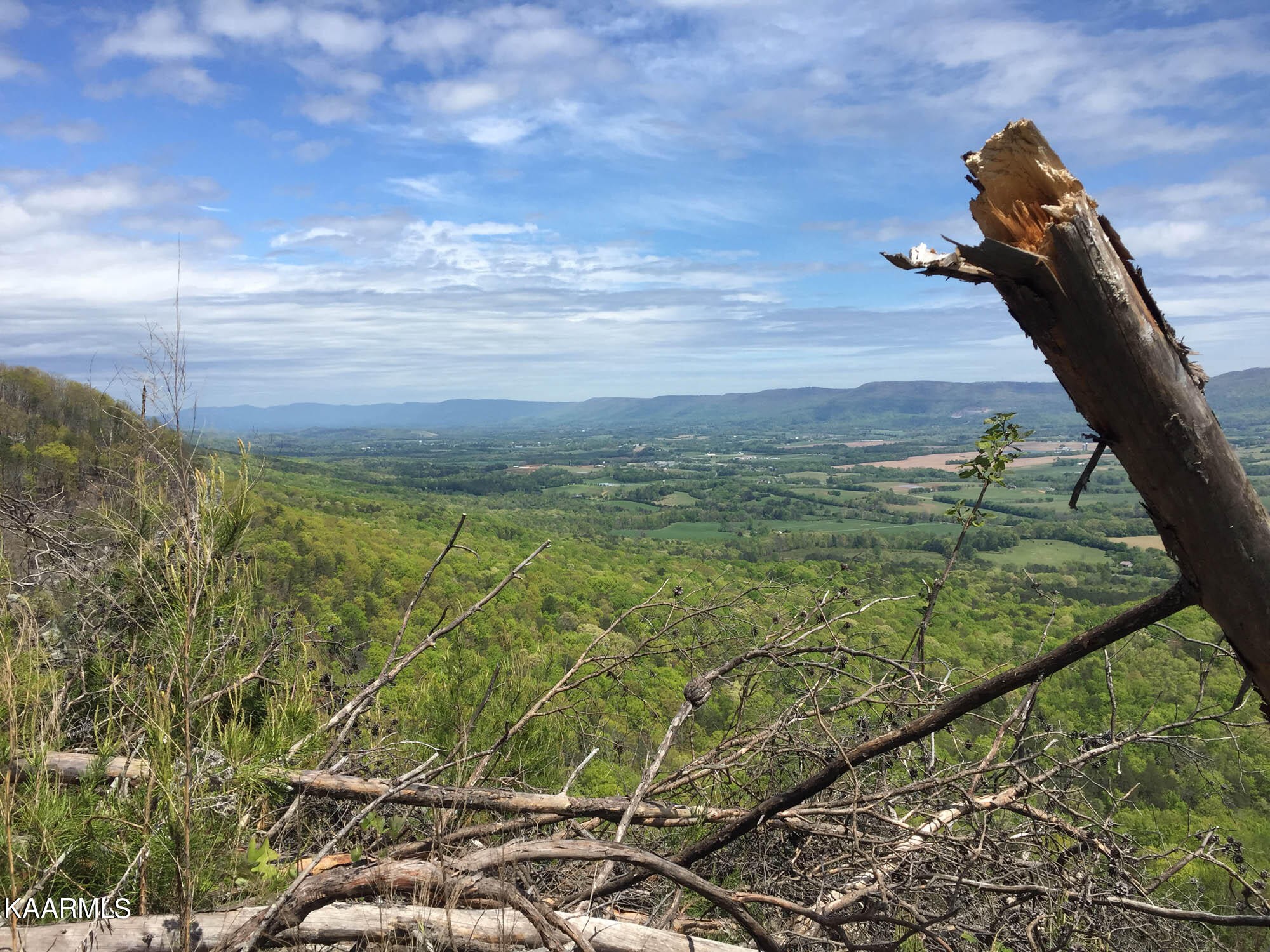 Pikeville, Tennessee, 37367, United States, ,Residential,For Sale,1943070