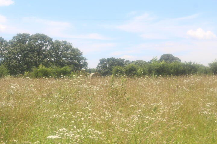 Polk, Missouri, 65727, United States, ,Land,For Sale,1980569