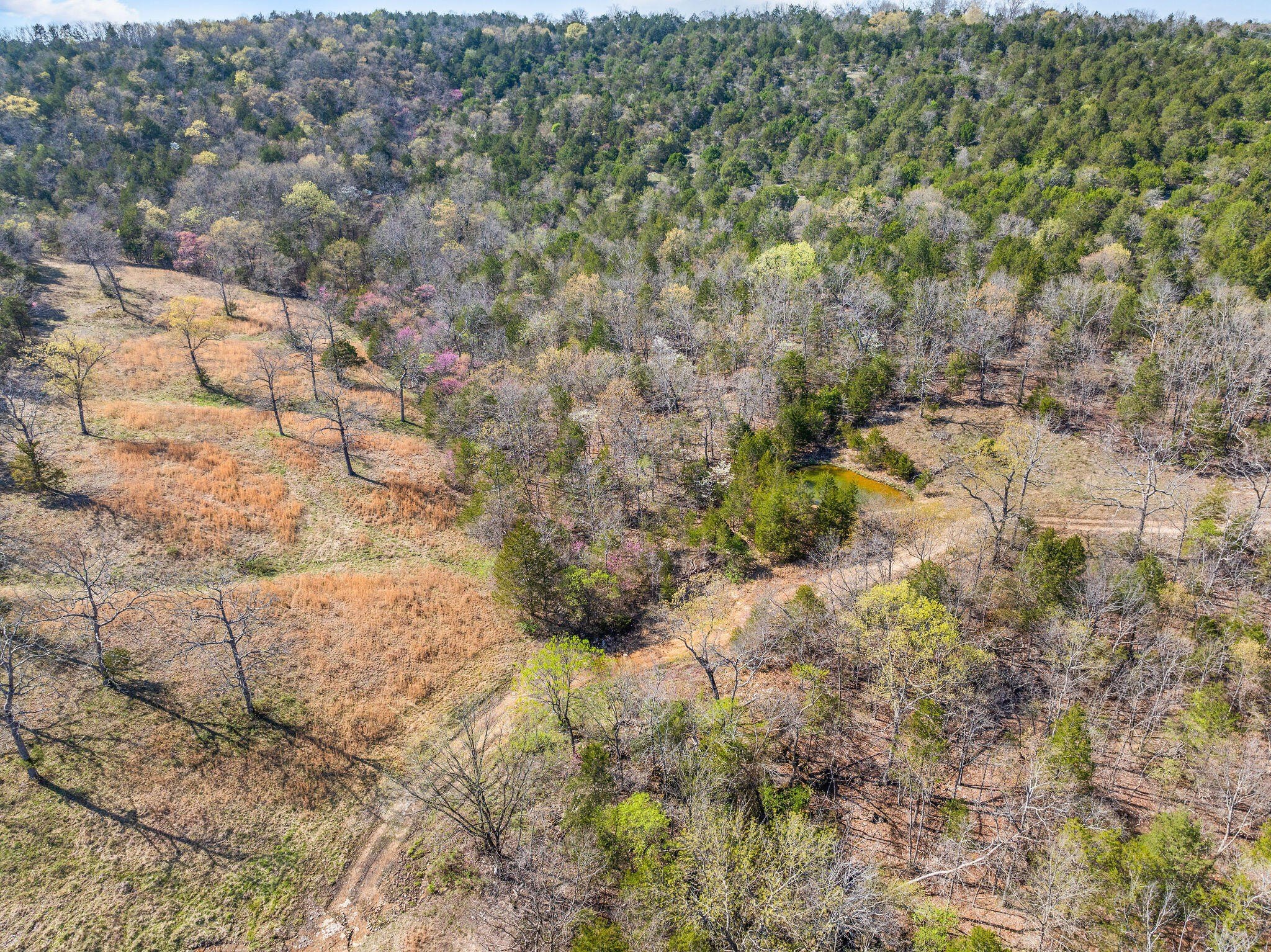 Kirbyville, Missouri, 65679, United States, ,Land,For Sale,1978892