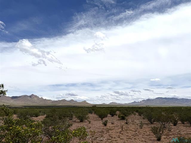 Rodeo, New Mexico, 88056, United States, 3 Bedrooms Bedrooms, ,3 BathroomsBathrooms,Residential,For Sale,2047967