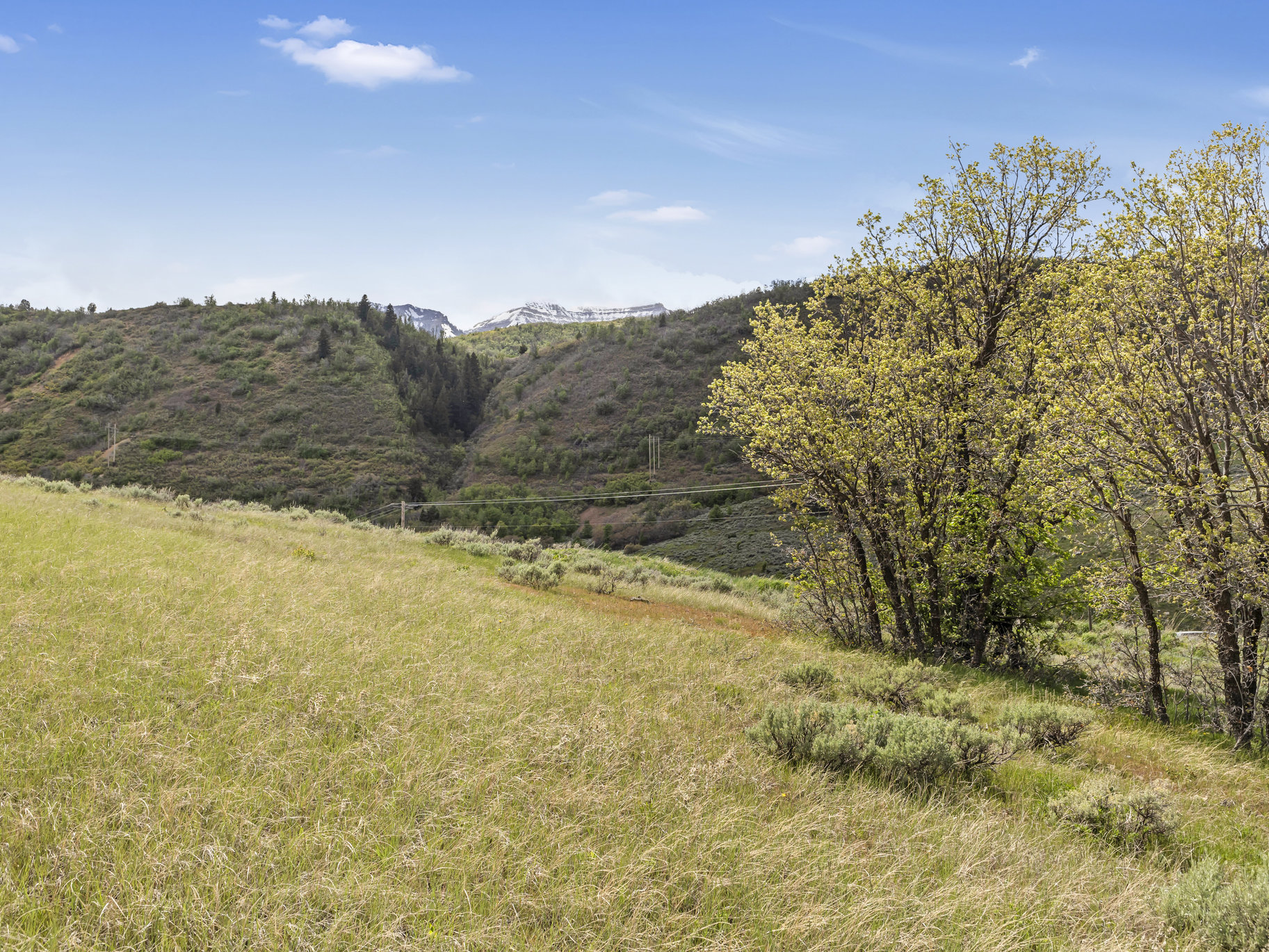  5.4 Acres In Provo Canyon With Easement To River - 物件實景
