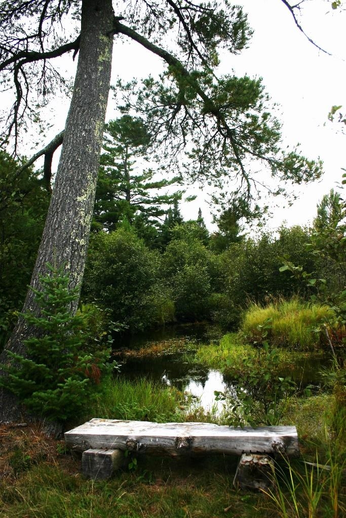 Butternut, Wisconsin, 54514, United States, 3 Bedrooms Bedrooms, ,2 BathroomsBathrooms,Residential,For Sale,1982759