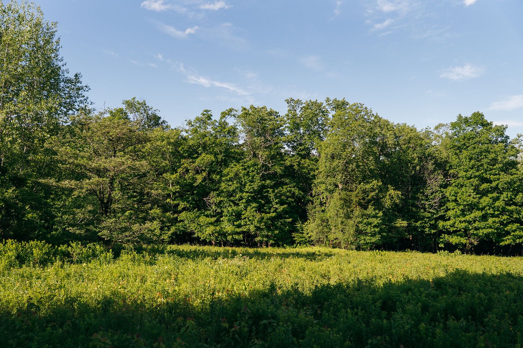  Sutton, Eastern Townships - 物件實景