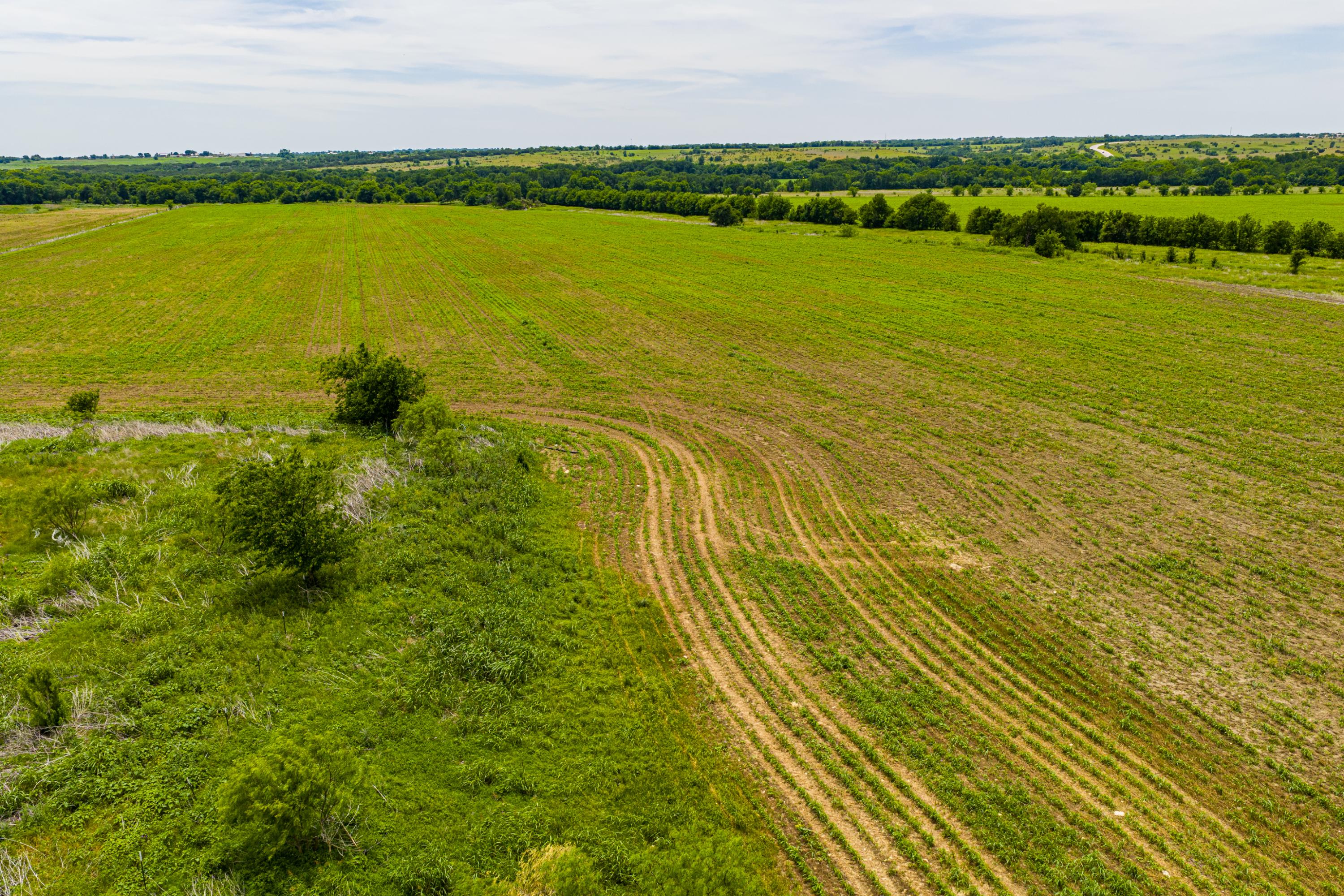  667 Acre Development Property With Two Miles Of Highway Frontage - 物件實景