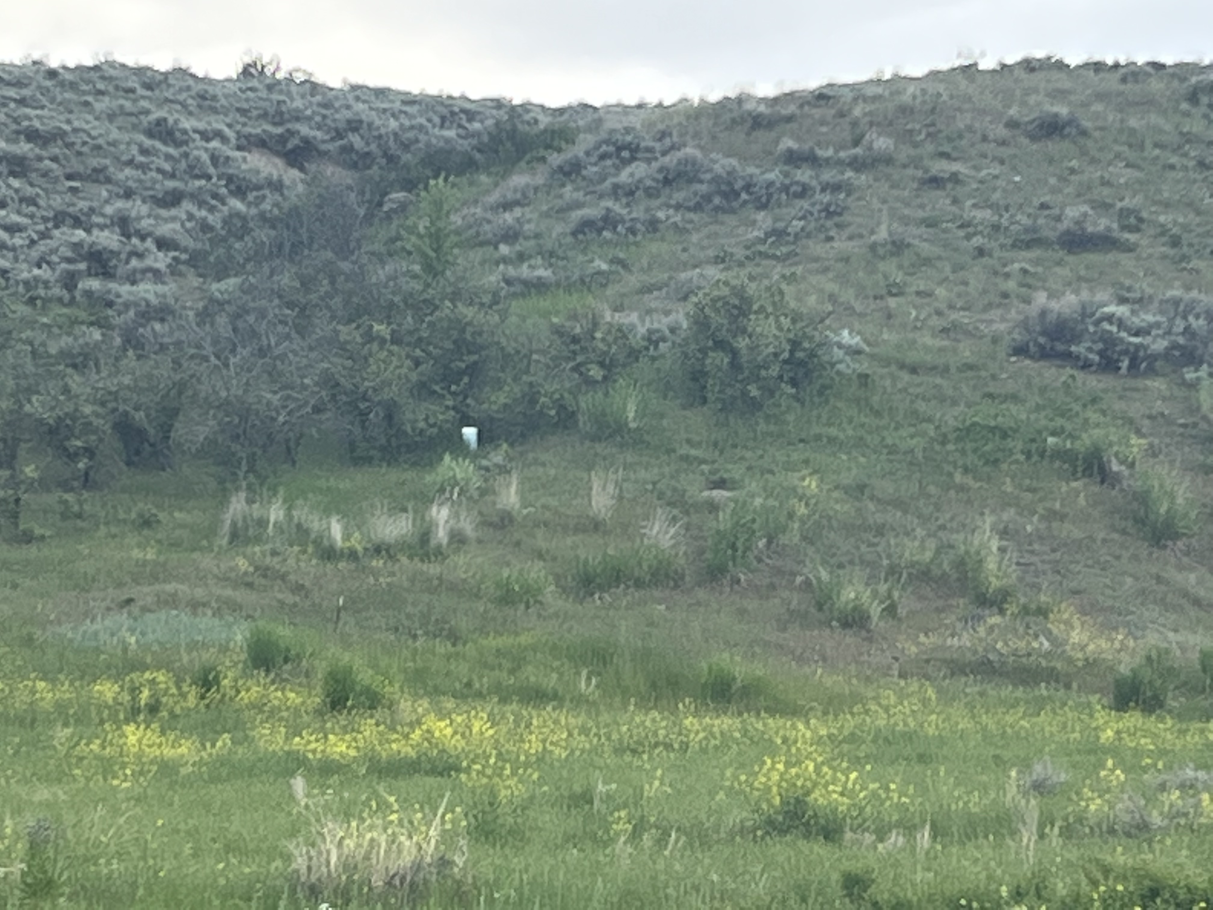 Hot Springs, Montana, 59845, United States, ,Residential,For Sale,1836275