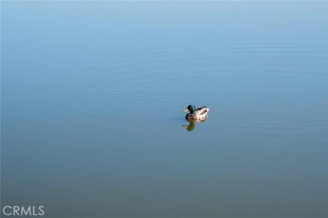 Harbor City, California, 90710, United States, 3 Bedrooms Bedrooms, ,3 BathroomsBathrooms,Residential,For Sale,1982159