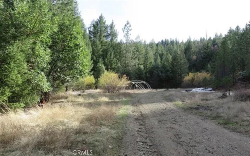 Covelo, California, 95428, United States, ,Residential,For Sale,1845669