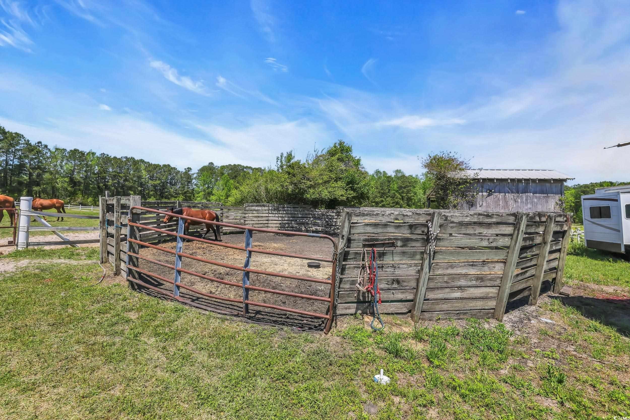 Conway, South Carolina, 29526, United States, ,Land,For Sale,1974843