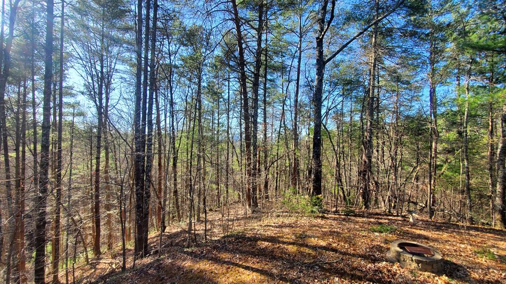 Reliance, Tennessee, 37369, United States, 3 Bedrooms Bedrooms, ,2 BathroomsBathrooms,Residential,For Sale,1858903