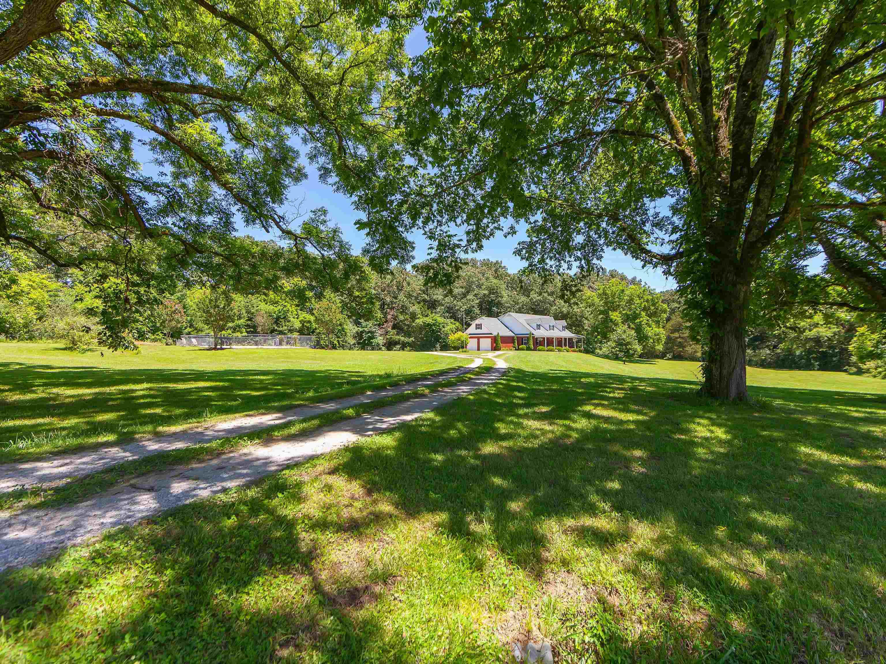 Medina, Tennessee, 38355, United States, 6 Bedrooms Bedrooms, ,4 BathroomsBathrooms,Residential,For Sale,1907793