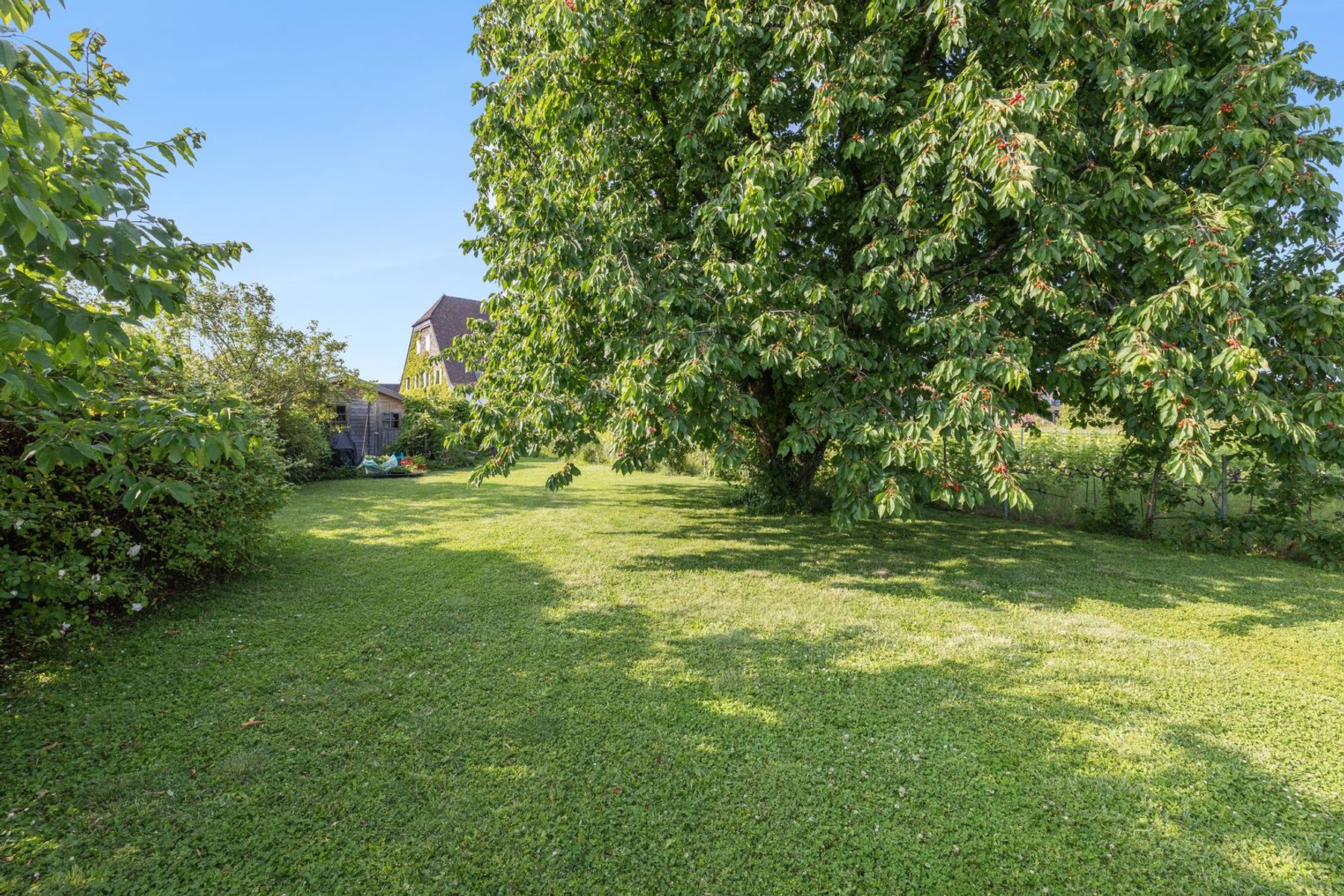  5.5 rooms in a charming small condominium 15 minutes from Lausanne - 物件實景