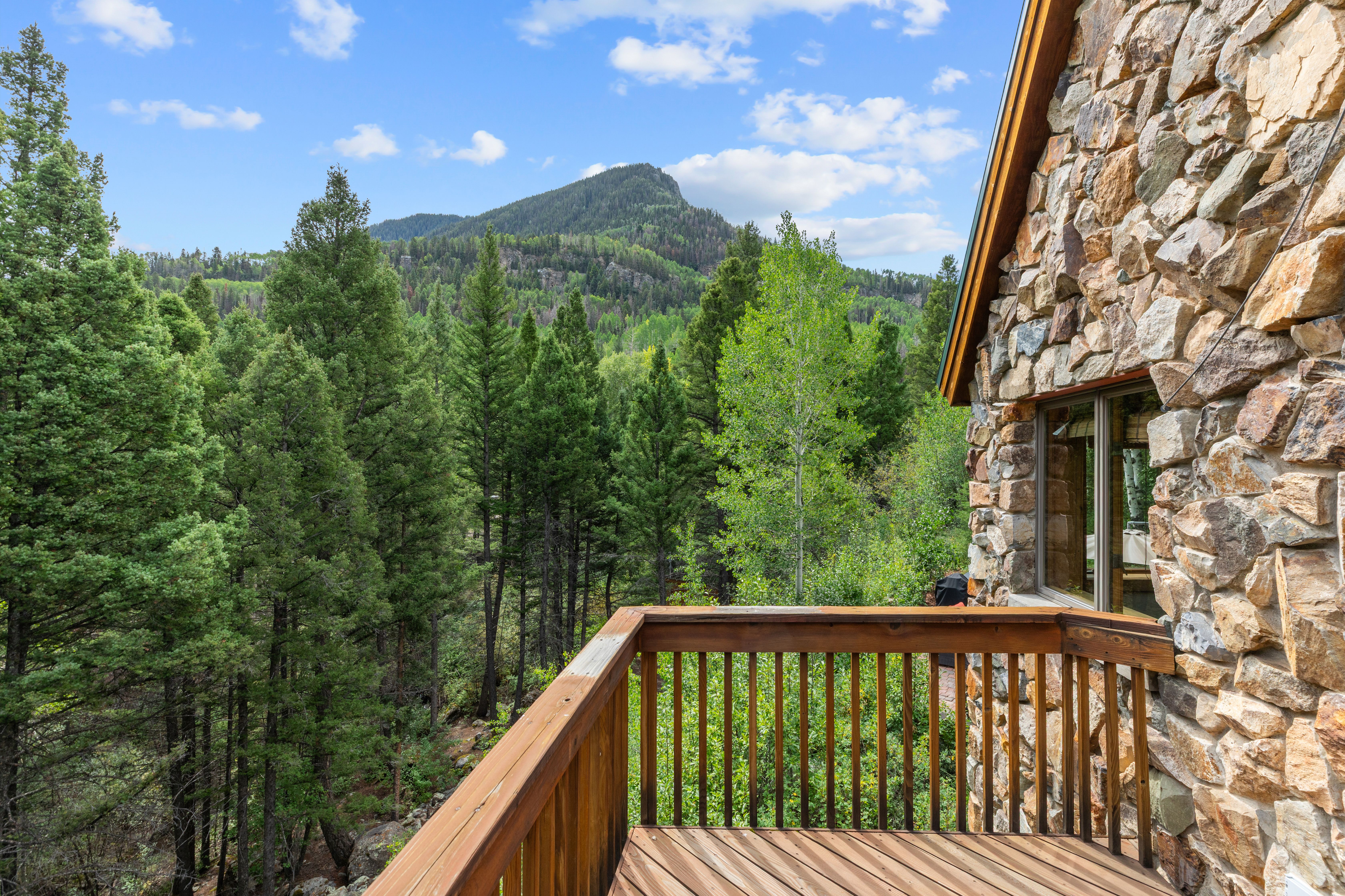  Peaceful Neighborhood in Ames, Colorado, minutes to Telluride - 物件實景