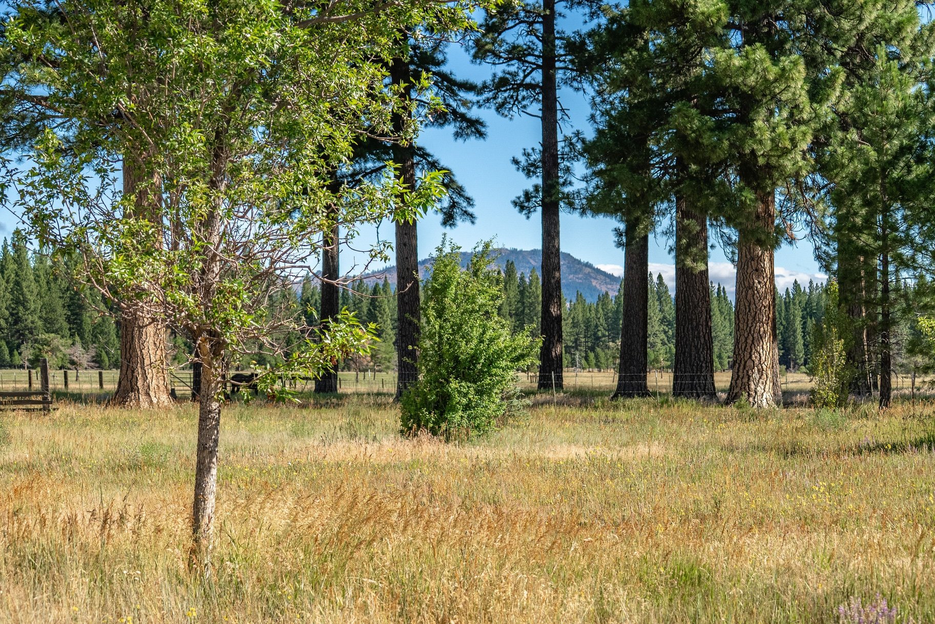  Landmark Ranch in California