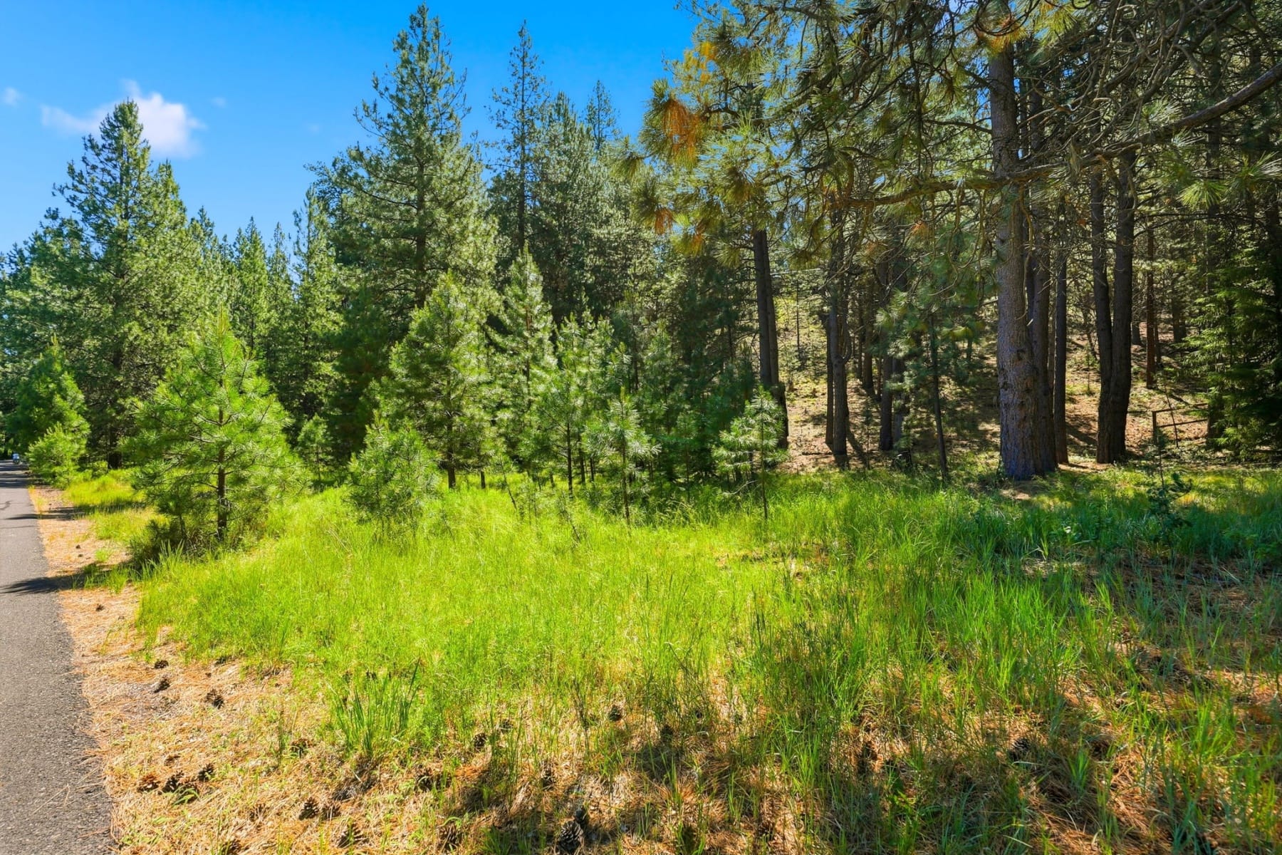  18831 Baker Road Bend, OR 97702 - 物件實景