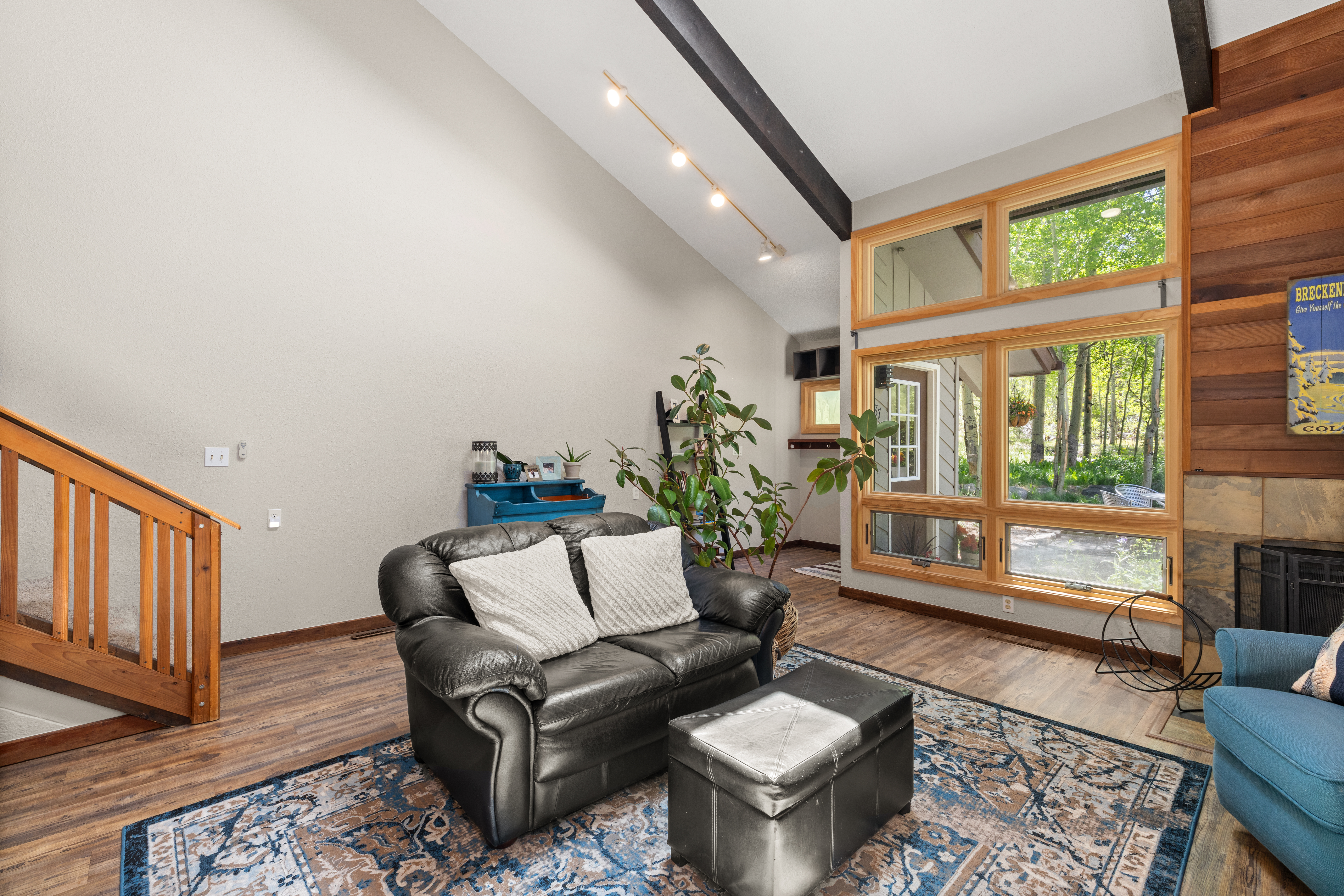  87 Flintstone Lane, Breckenridge, CO, 80424 - 物件實景