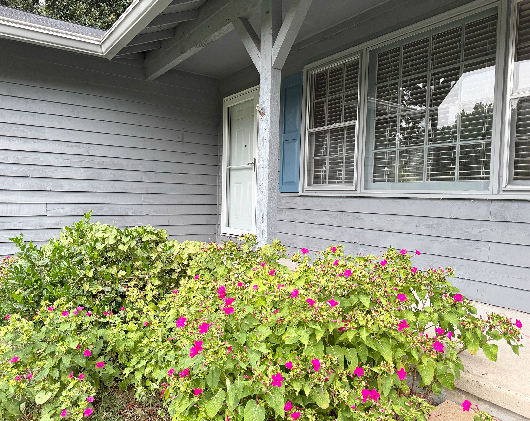 Charming Ranch Home in Sought After Harrison District - 物件實景