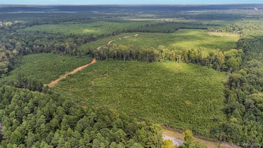 0 Highway 157 Highway, Haughton, Louisiana, 71037, United States, ,Land,For Sale,0 Highway 157 Highway,1646378