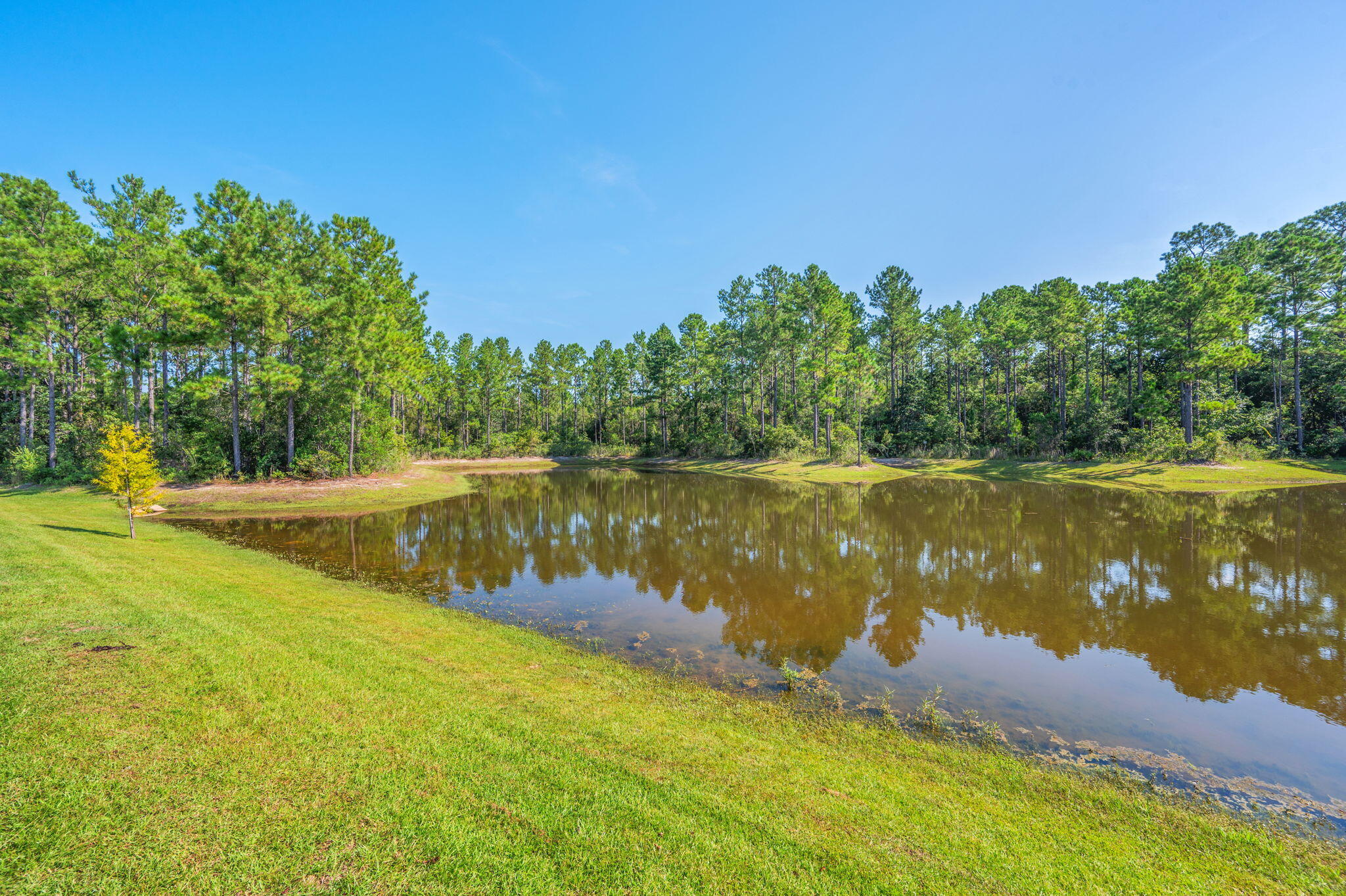 Freeport, Florida, 32439, United States, 4 Bedrooms Bedrooms, ,3 BathroomsBathrooms,Residential,For Sale,1926490
