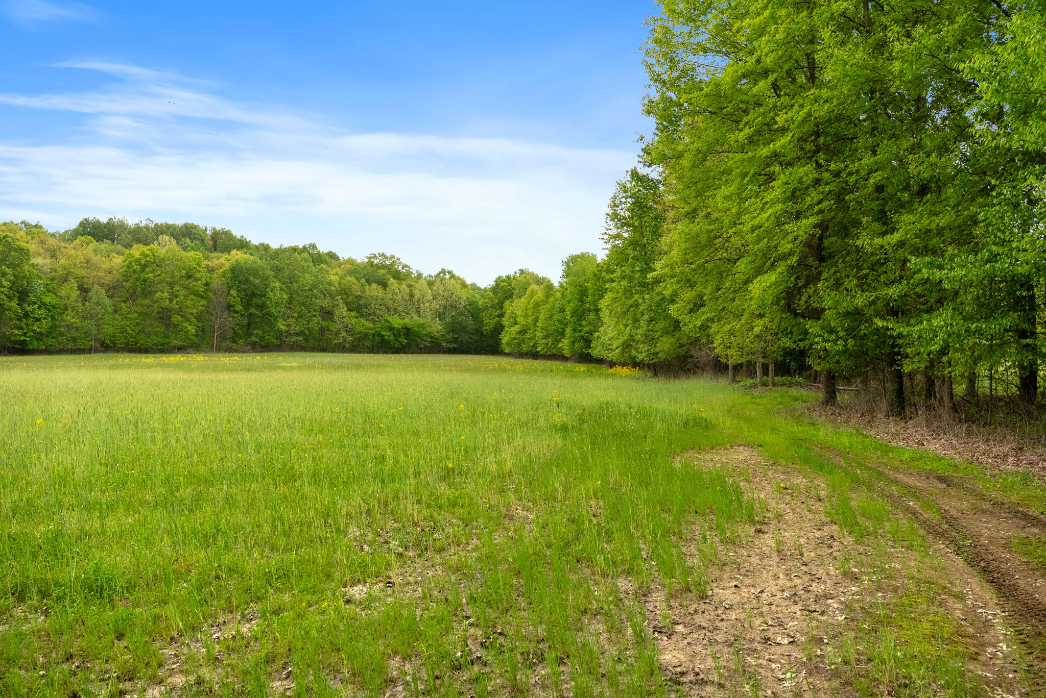 Rosedale, Indiana, 47874, United States, ,Land,For Sale,2049036