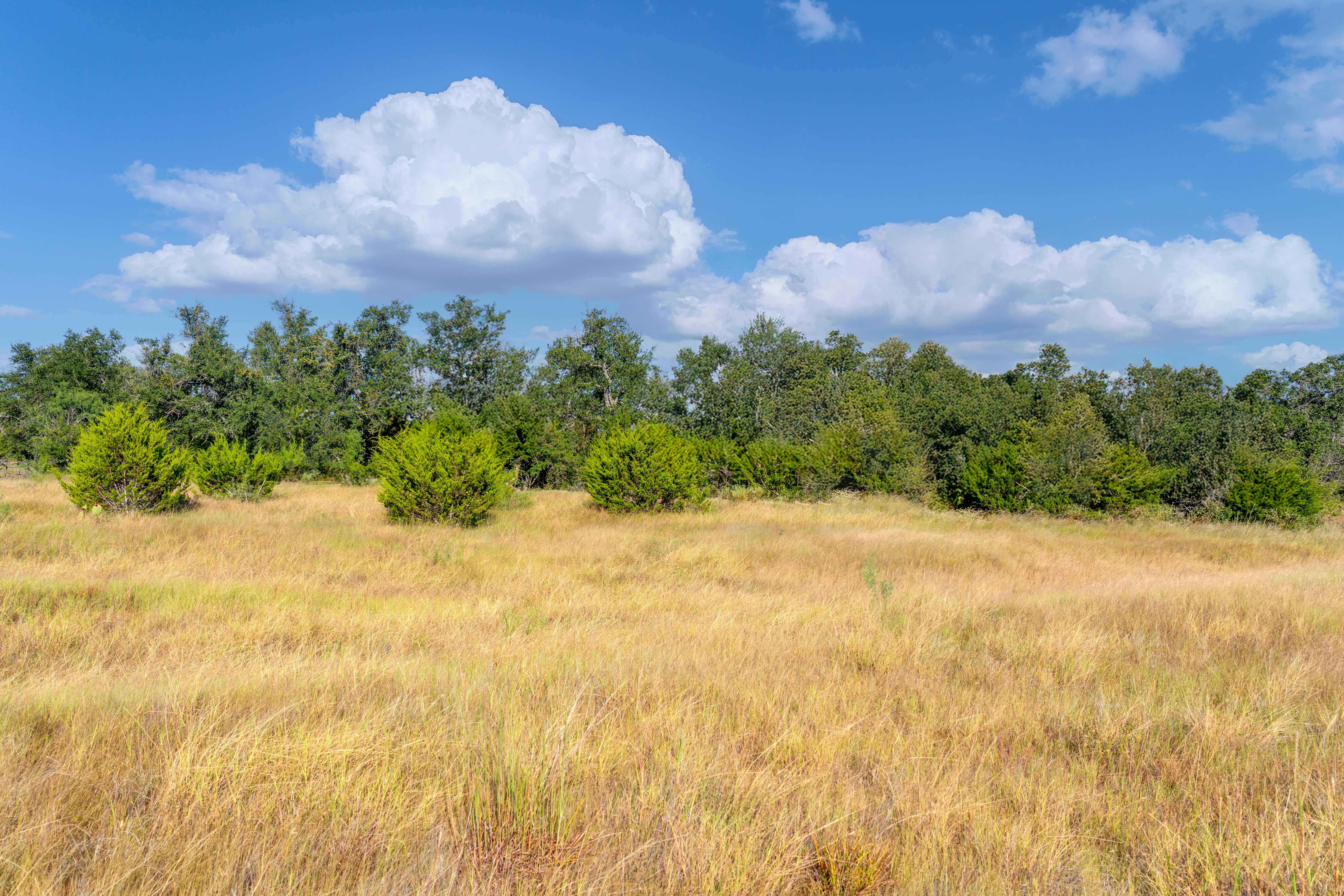  7994 W U.S. Highway 290, Johnson City, TX 78636 - 物件實景