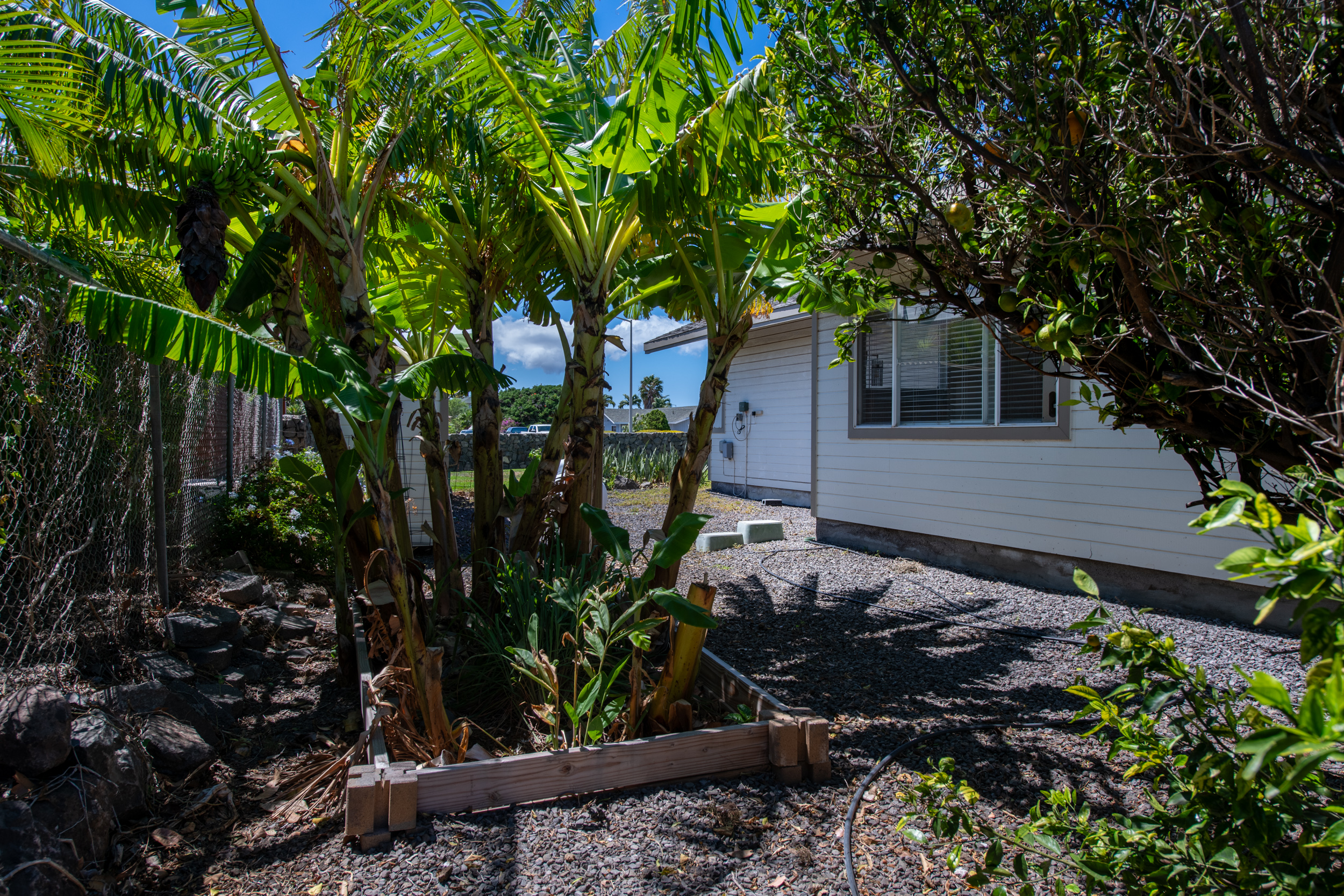  68-3559 Awamoa Pl, Waikoloa, HI, 96738 - 物件實景