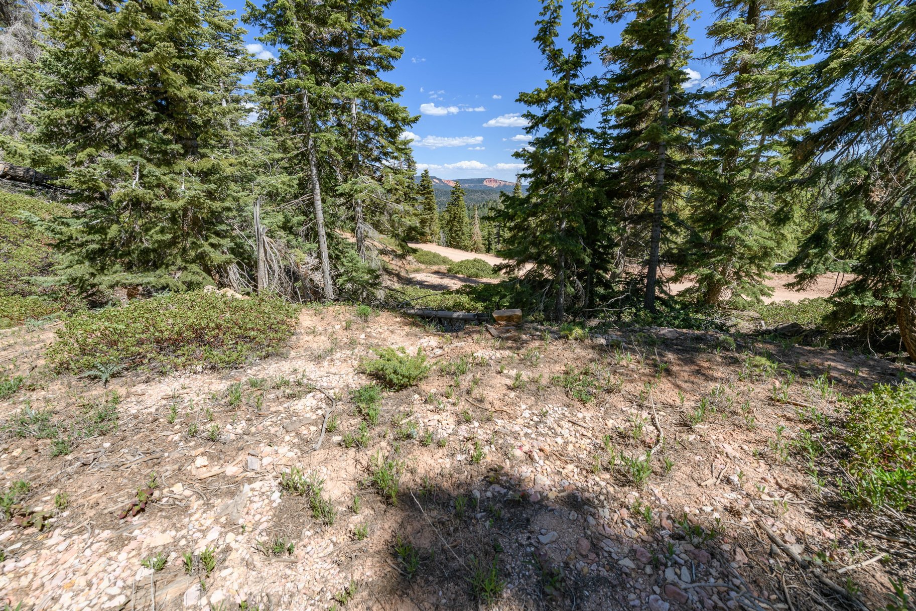  Quiet Mountain Retreat Near Navajo Lake - 物件實景