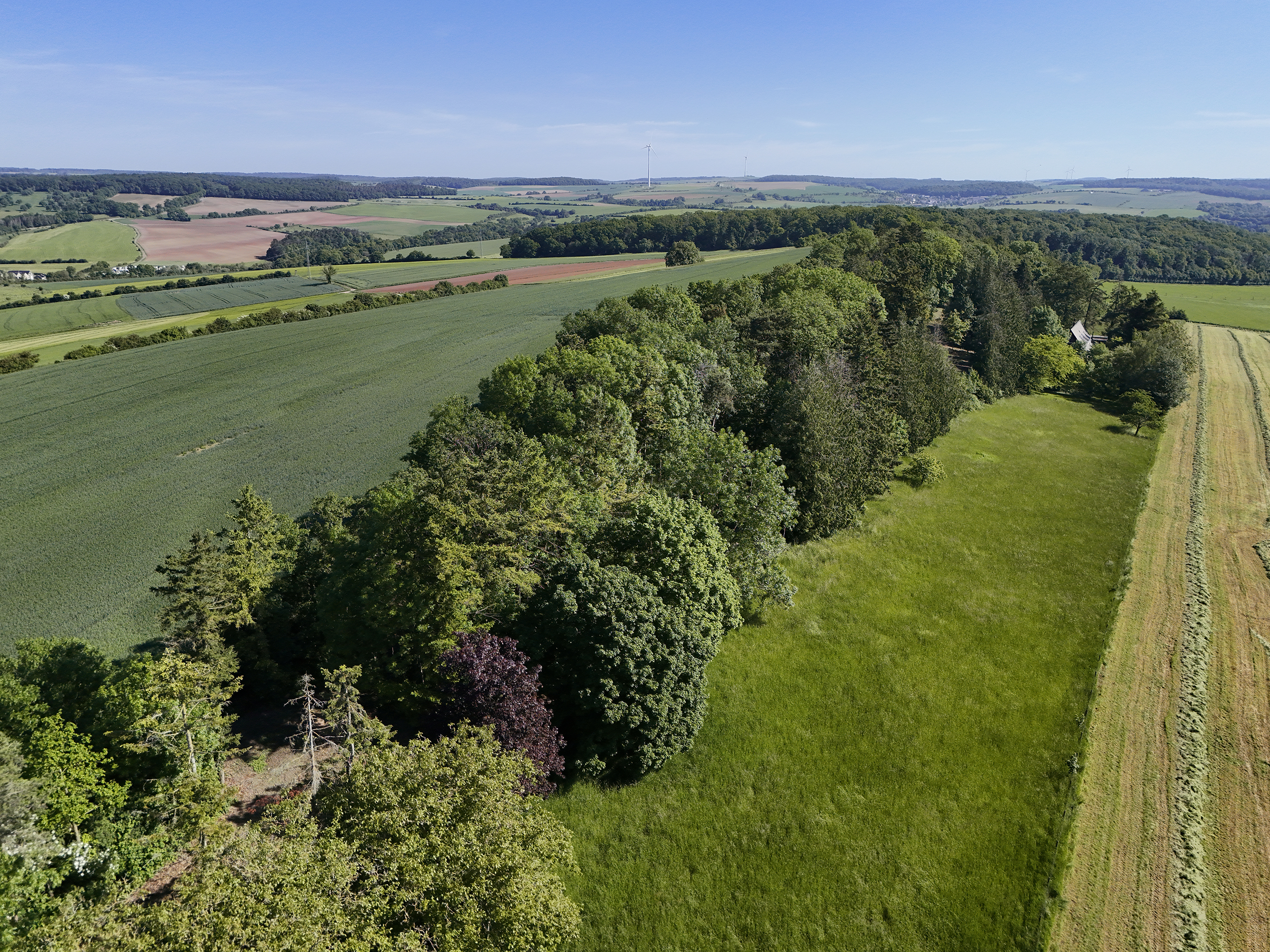  Domaine privé à Manternach - 物件實景