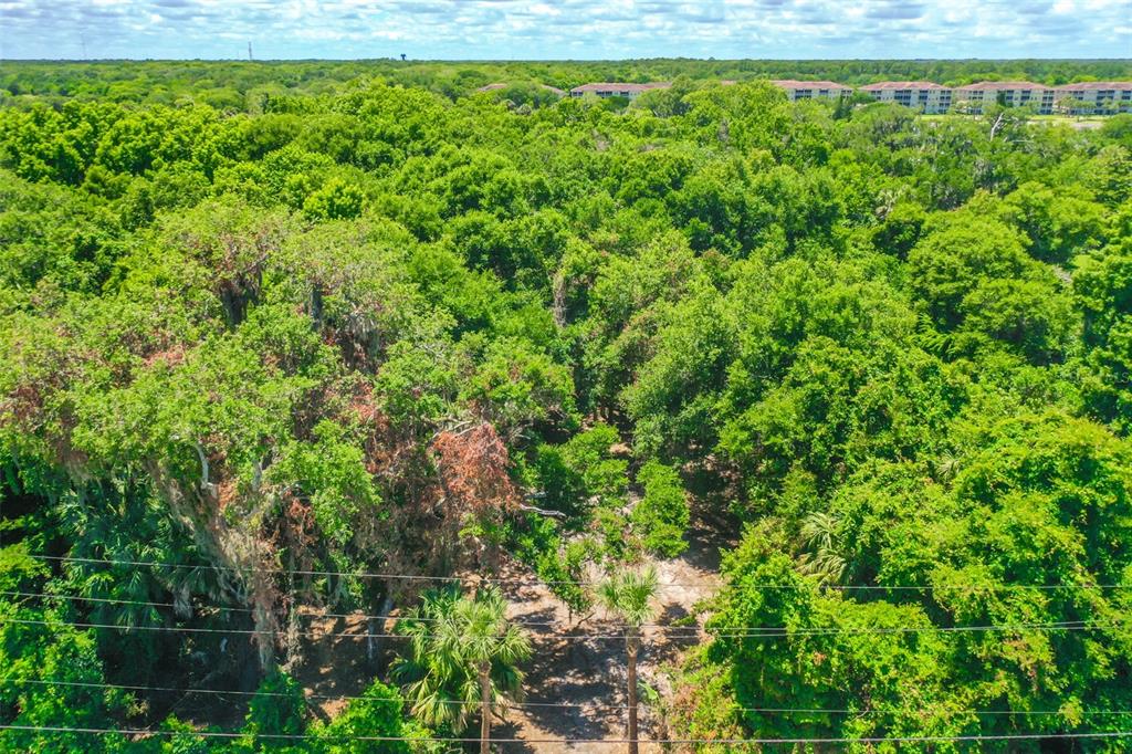 Palm Coast, Florida, 32137, United States, ,Land,For Sale,2000398