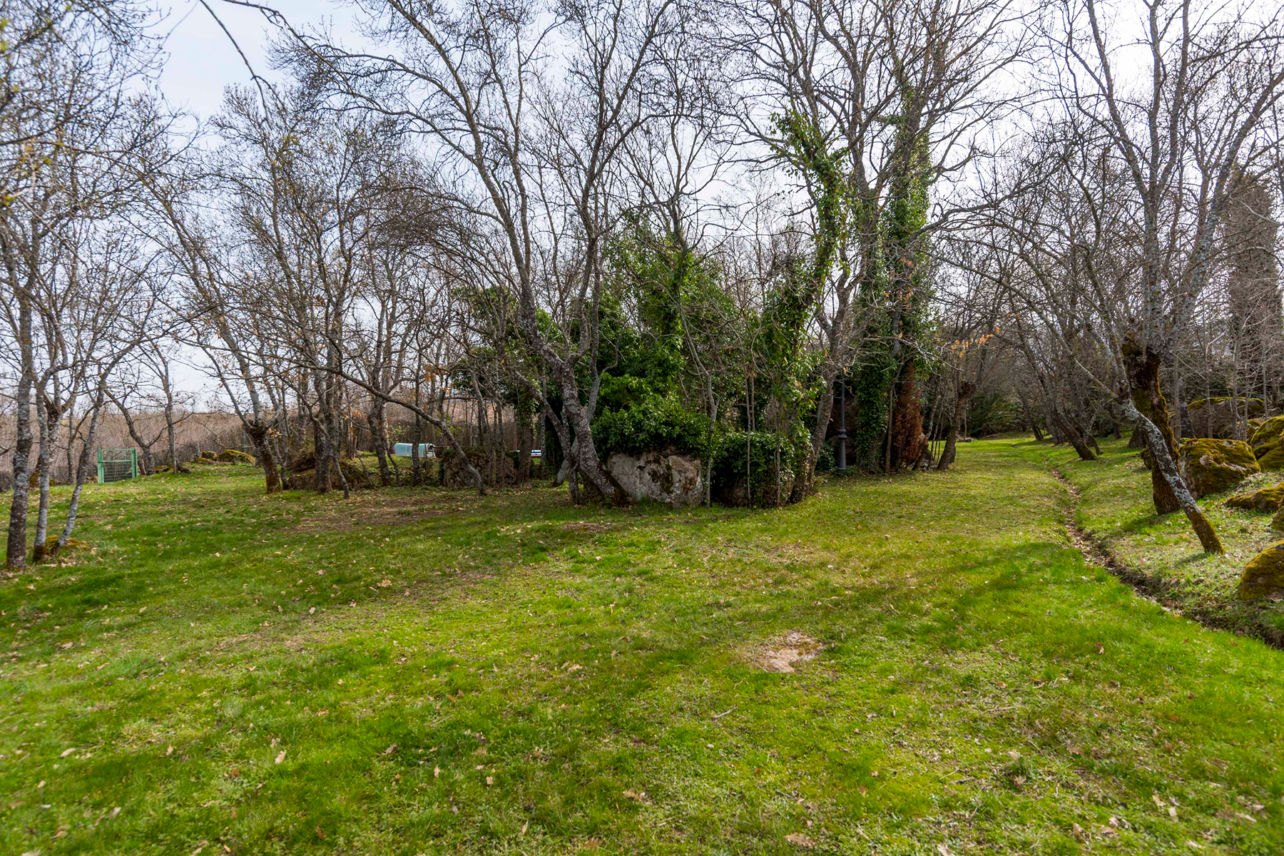  Spectacular estate for promotion in Sotosalbos, Segovia - 物件實景