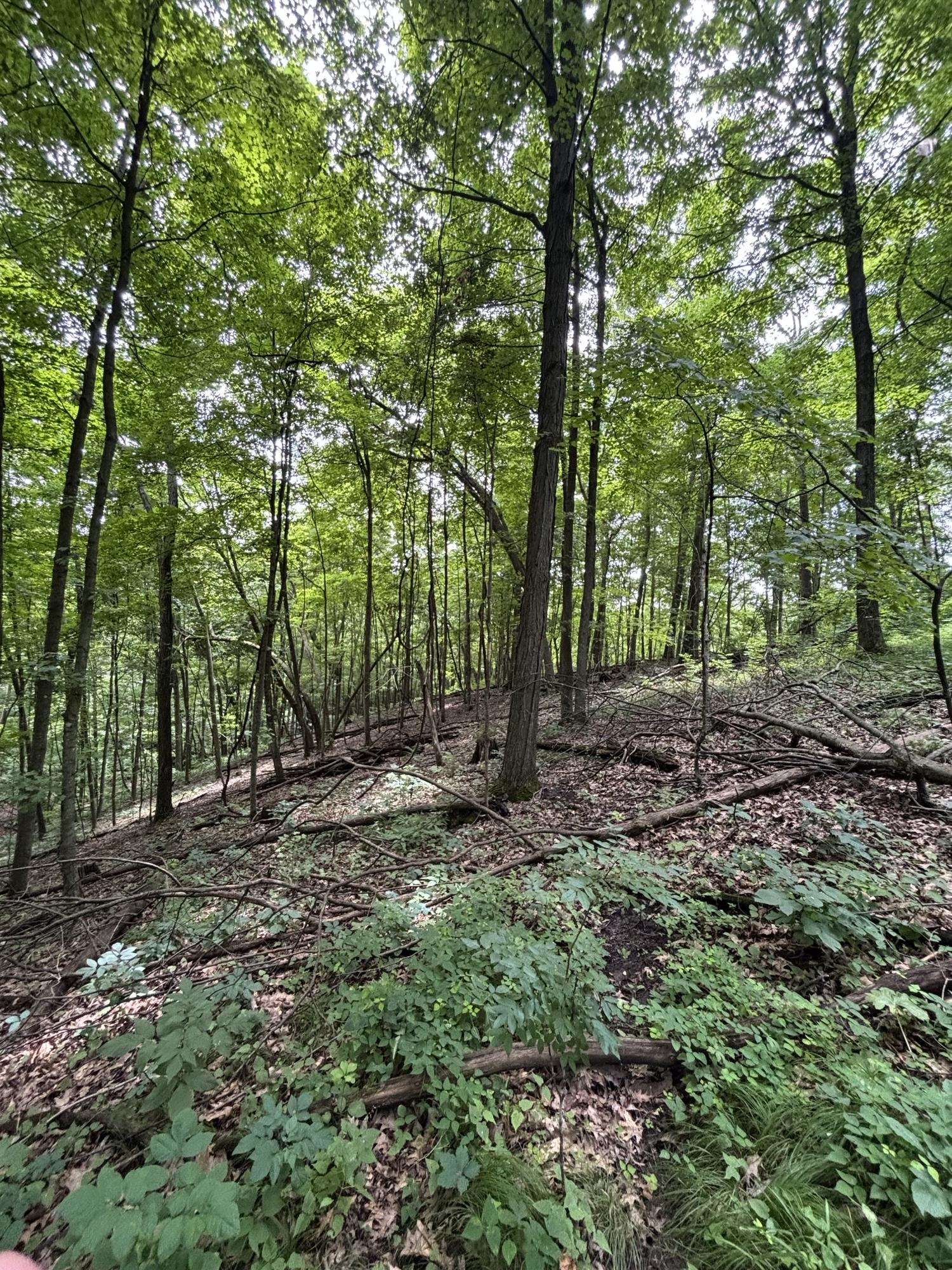Gays Mills, Wisconsin, 54631, United States, ,Residential,For Sale,1928729