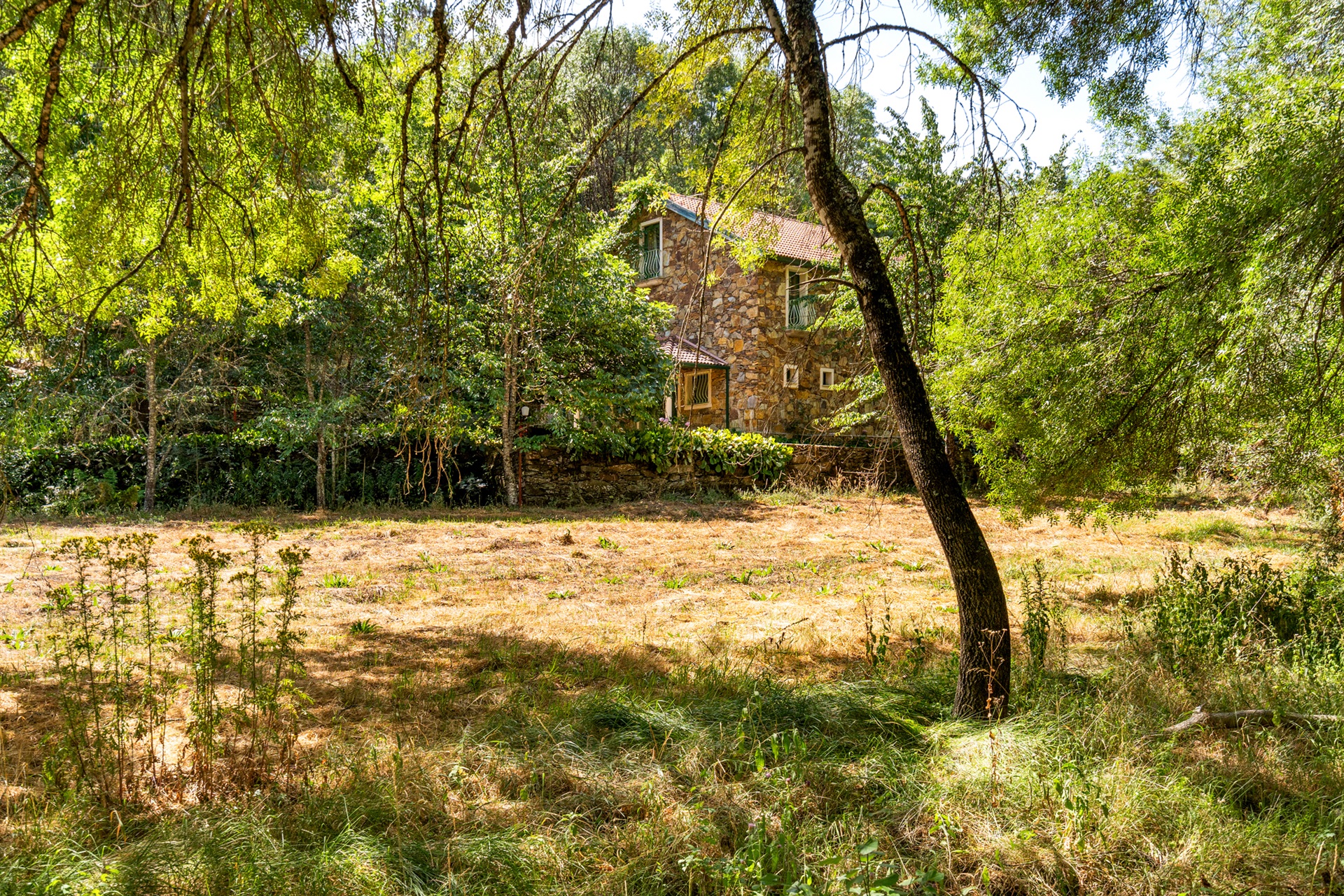  Farm, 5 bedrooms, for Sale - 物件實景