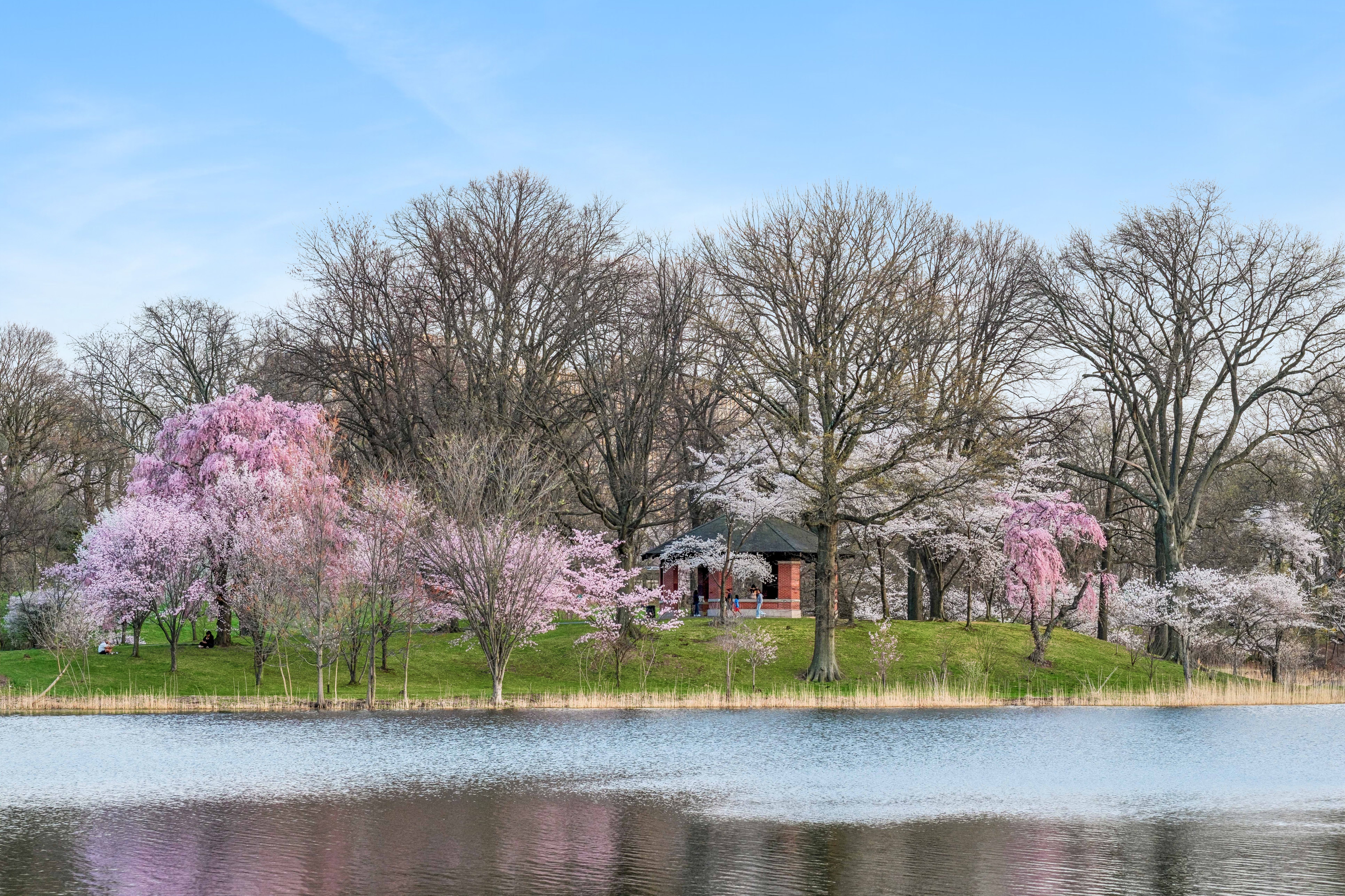  363-377 Mount Prospect Avenue, Newark, NJ 07104 - 物件實景