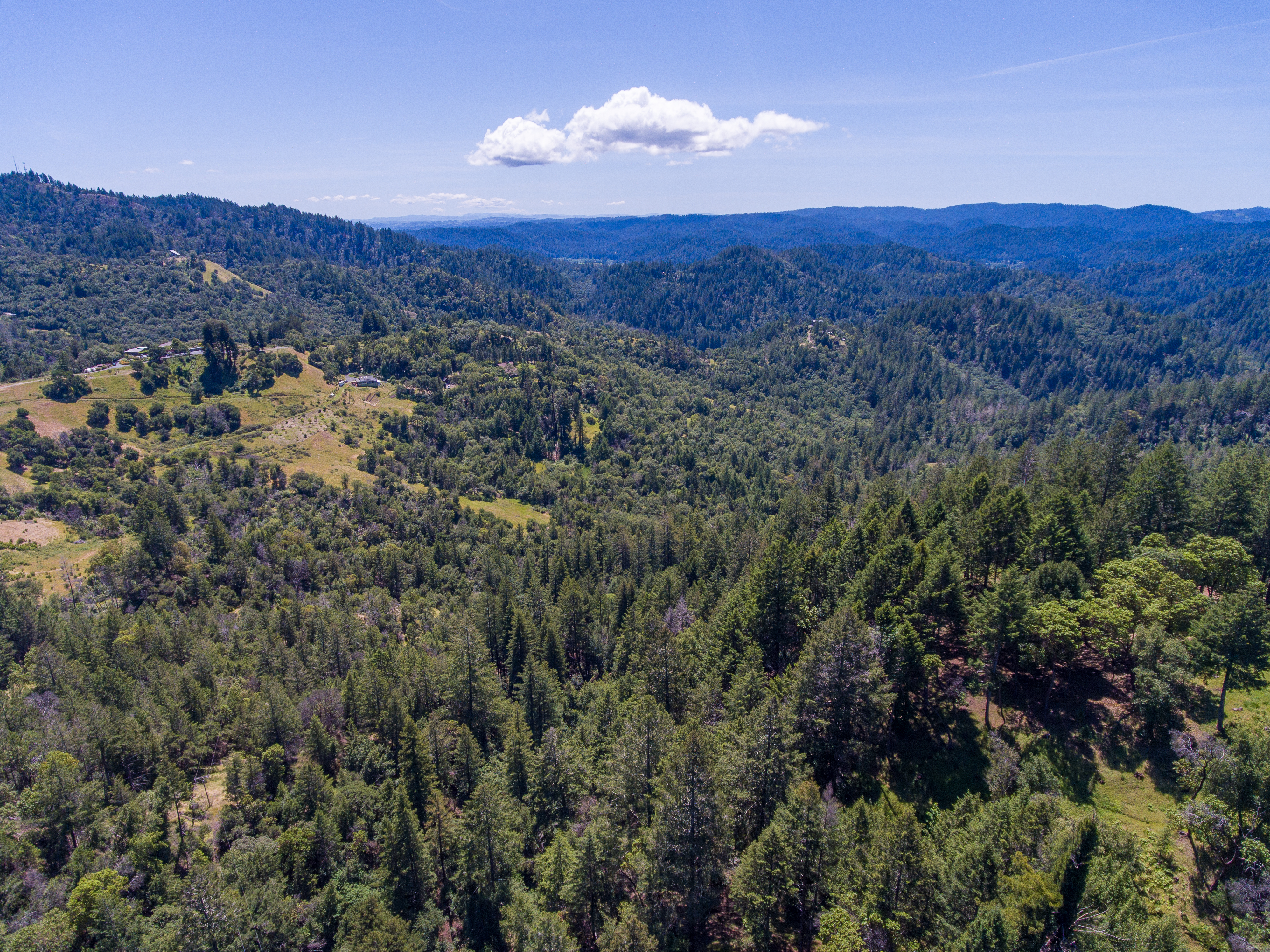  18900 Armstrong Woods Road, Guerneville, CA 95446 - 物件實景