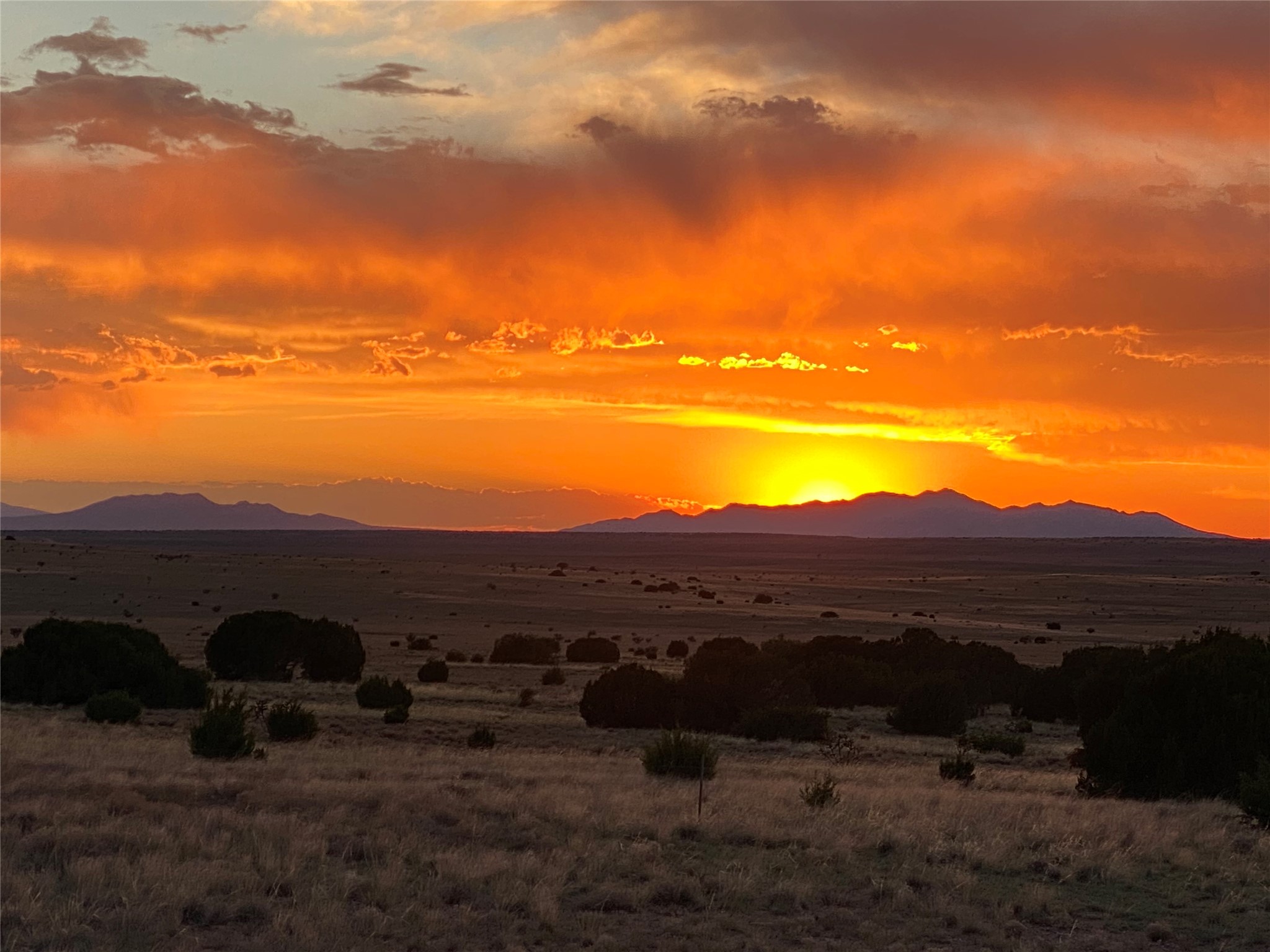  26262 US Highway 285 - 物件實景