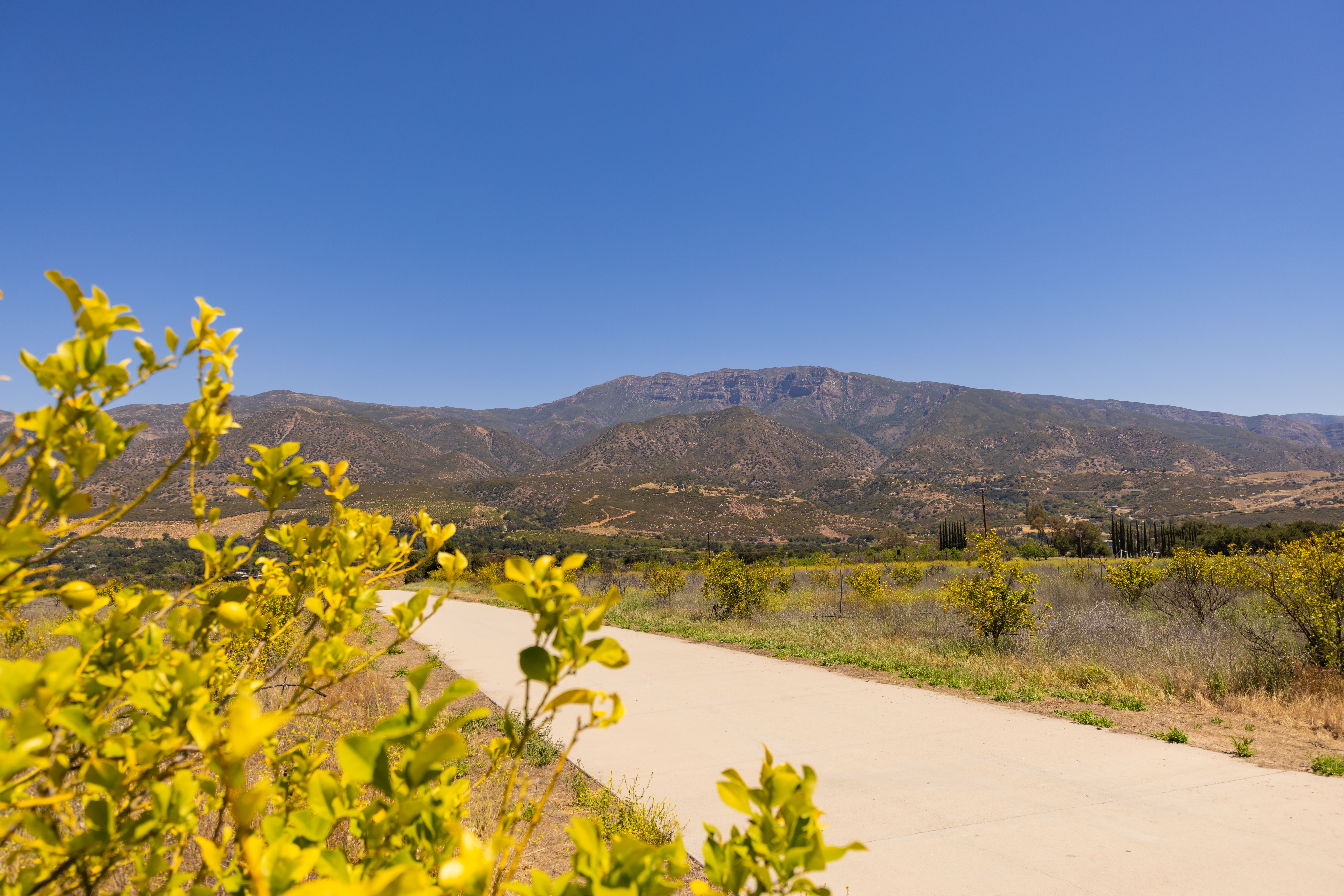  12400 Ojai Santa Paula Road, Ojai, CA 93023 - 物件實景