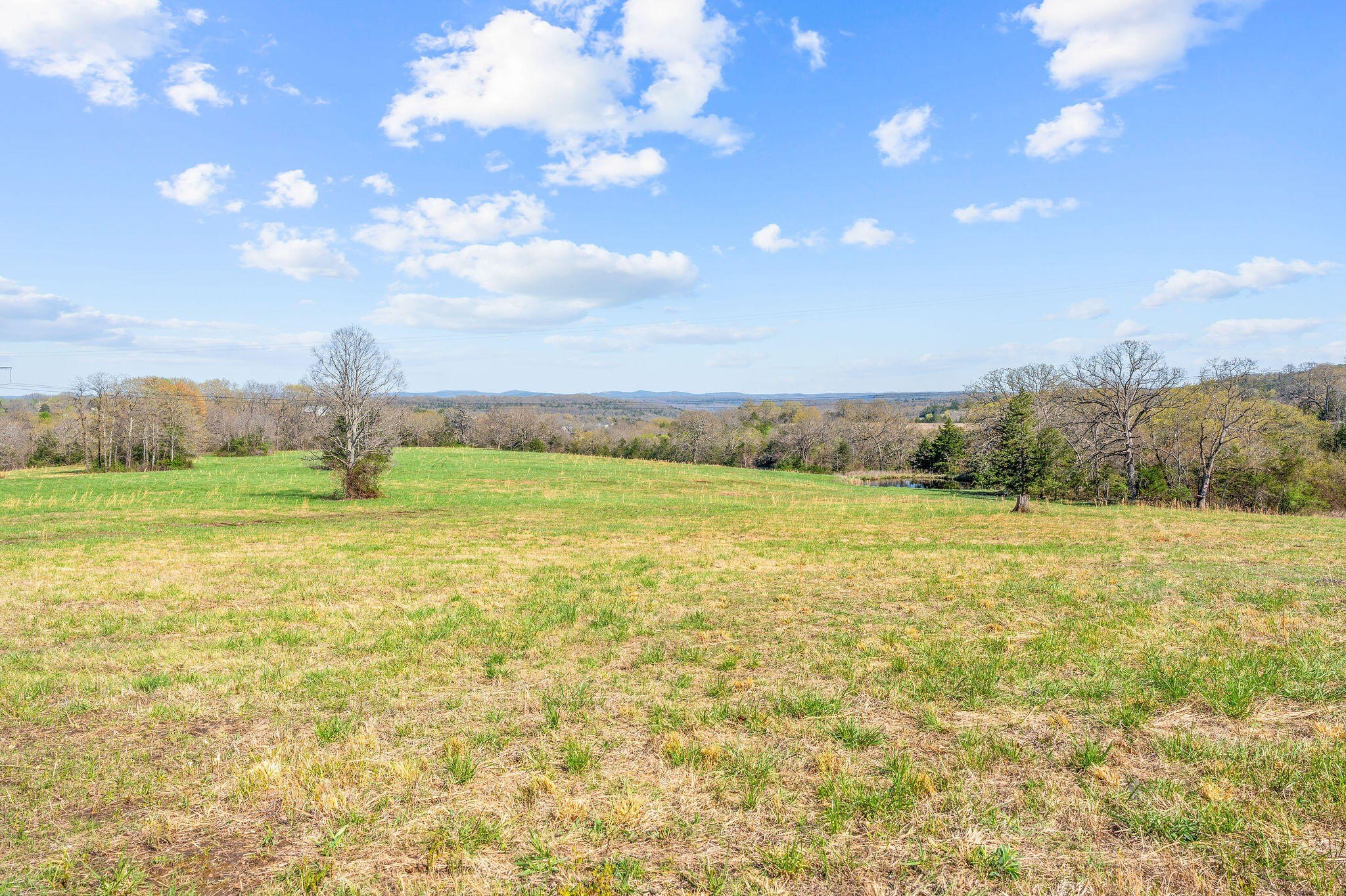 Kirbyville, Missouri, 65679, United States, ,Land,For Sale,1978892