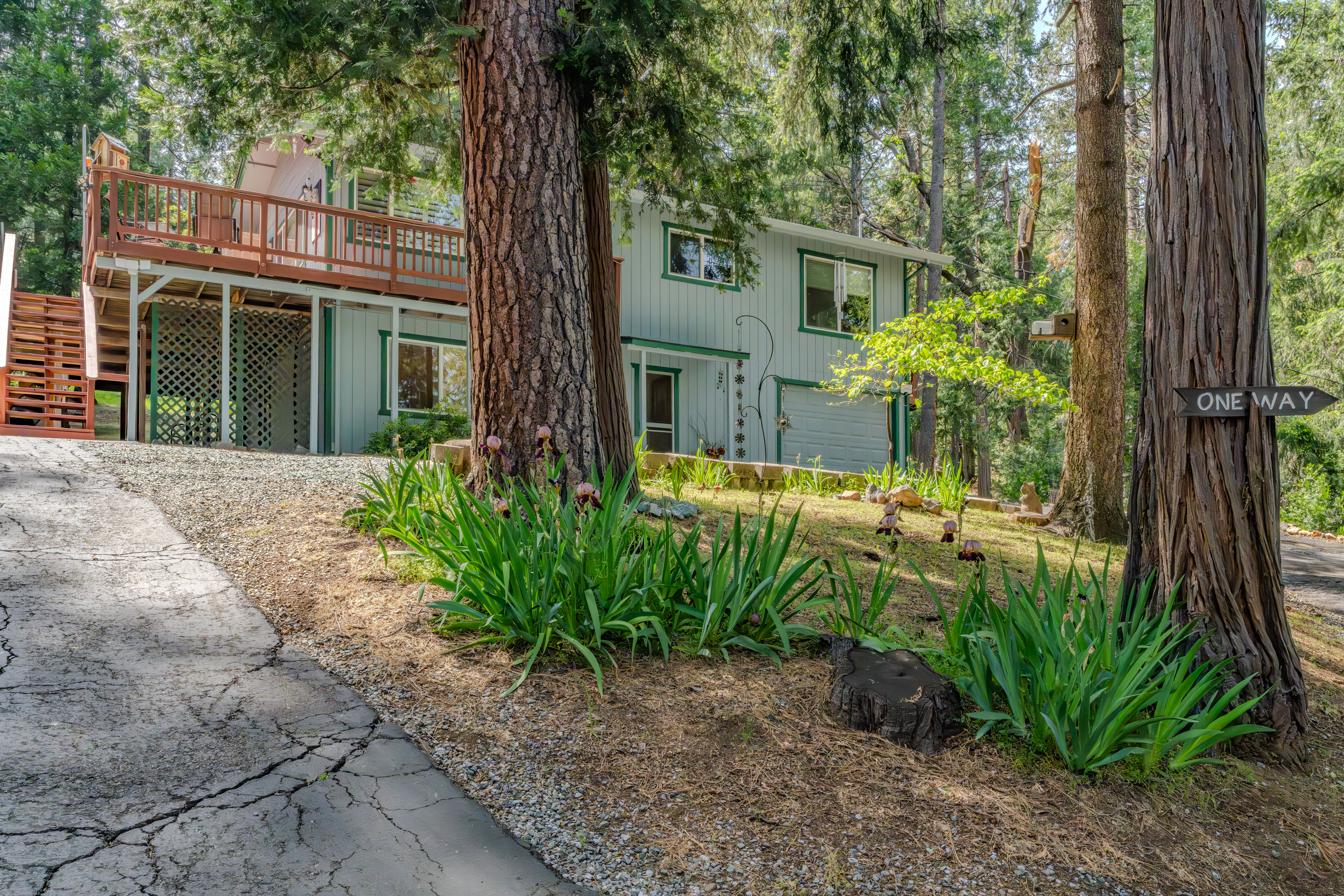  16775 Silver Drive South, Pioneer, CA 95666 - 物件實景