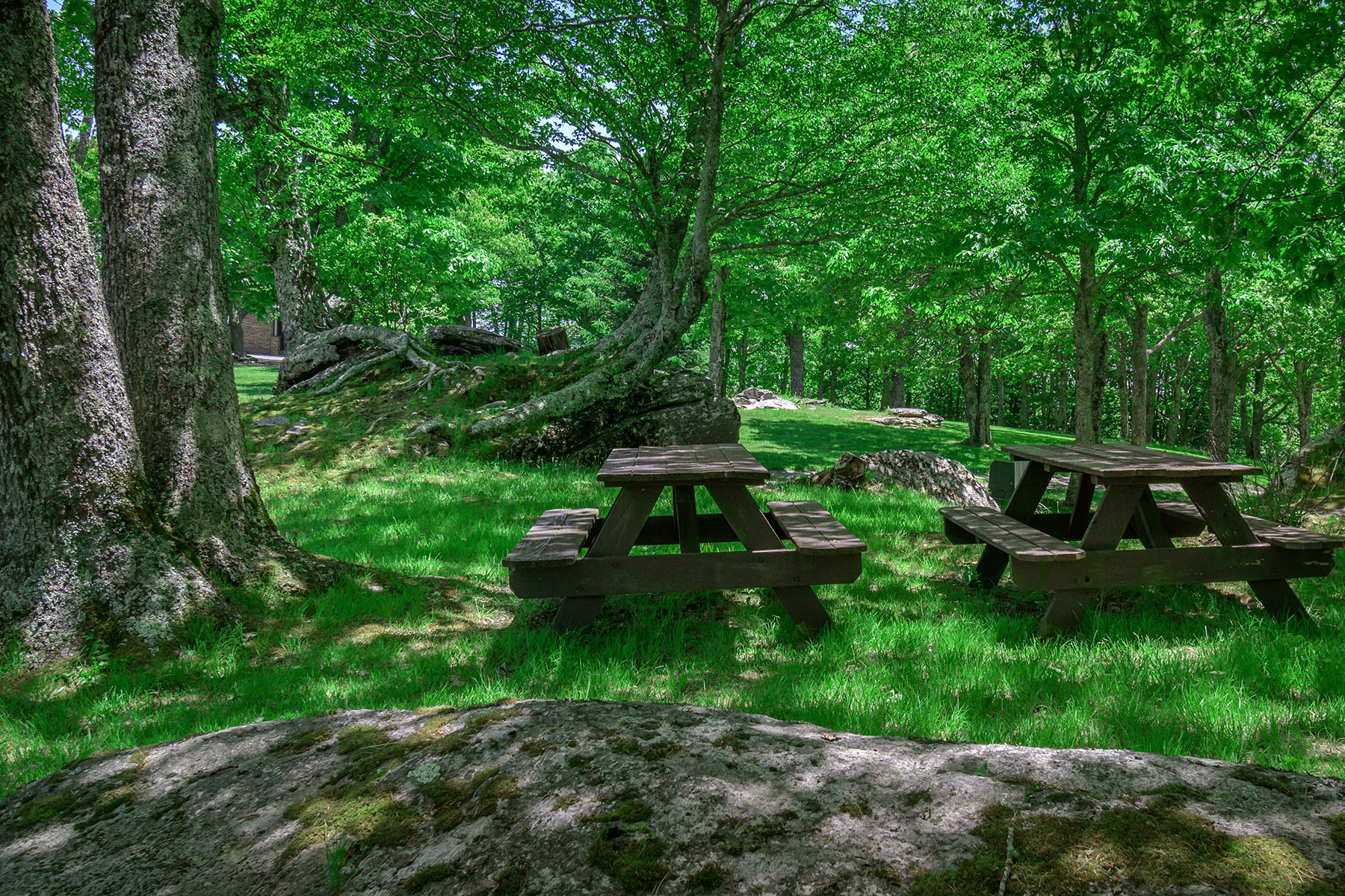  BANNER ELK - ROCKY KNOB - 物件實景