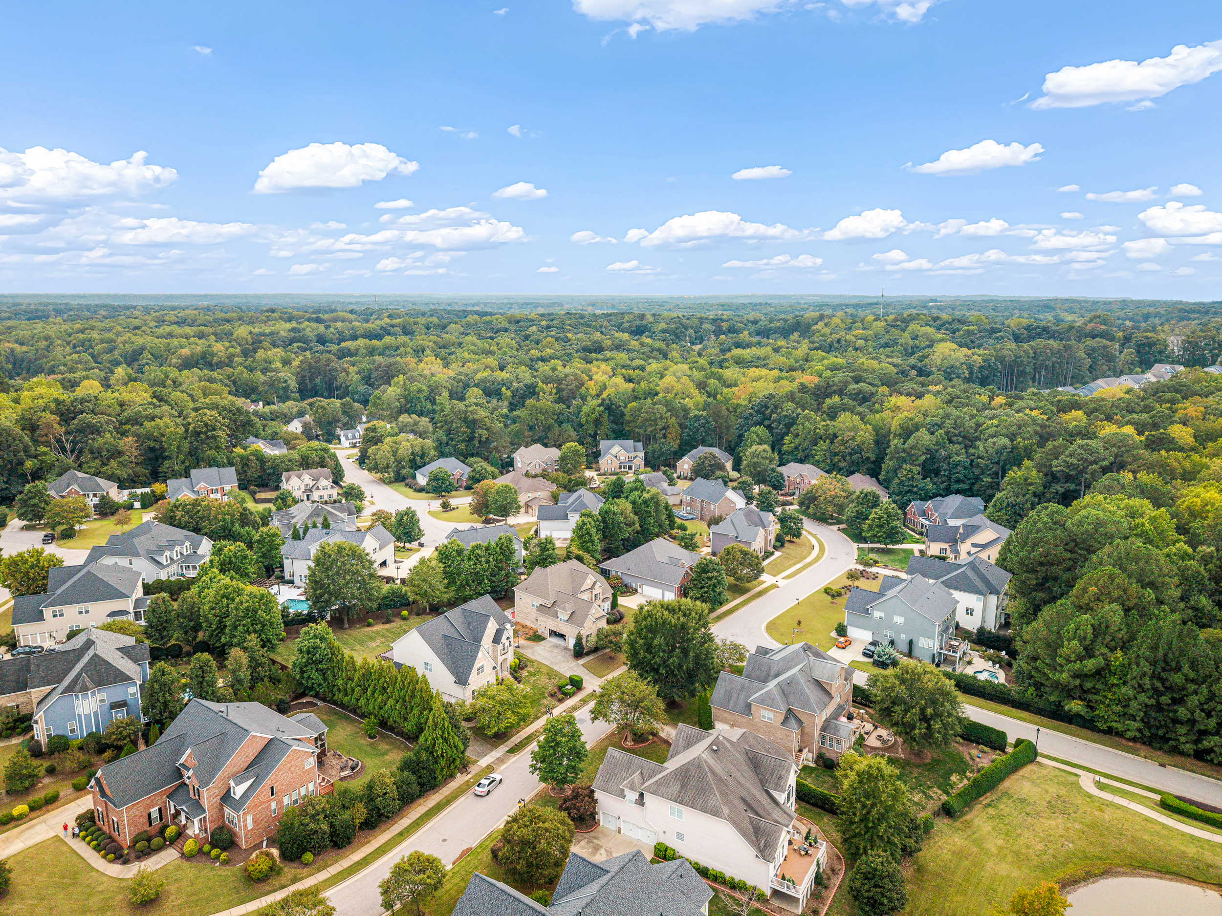  110 Vintage Hill Circle, Apex, NC 27539 - 物件實景