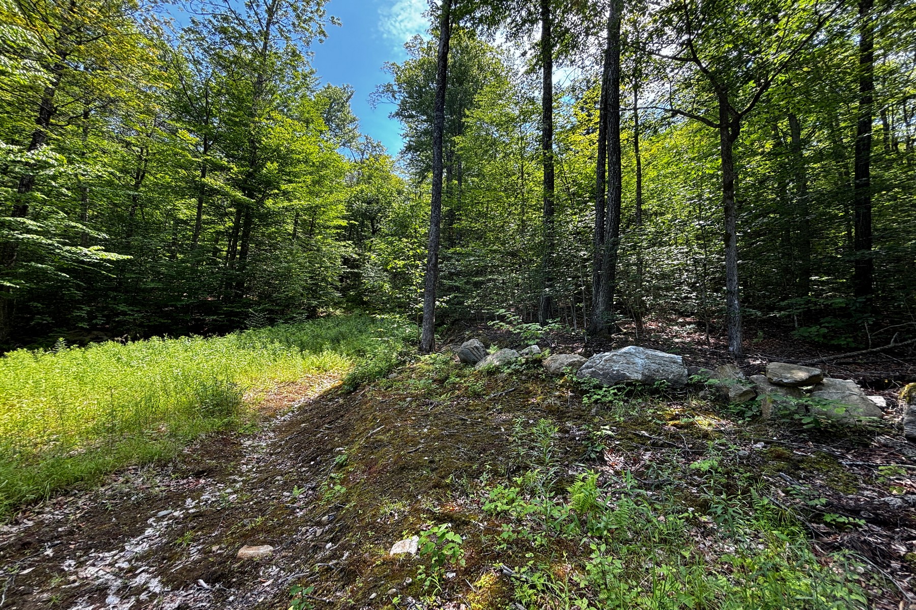  27 acres with close to Chester Village and Skiing - 物件實景