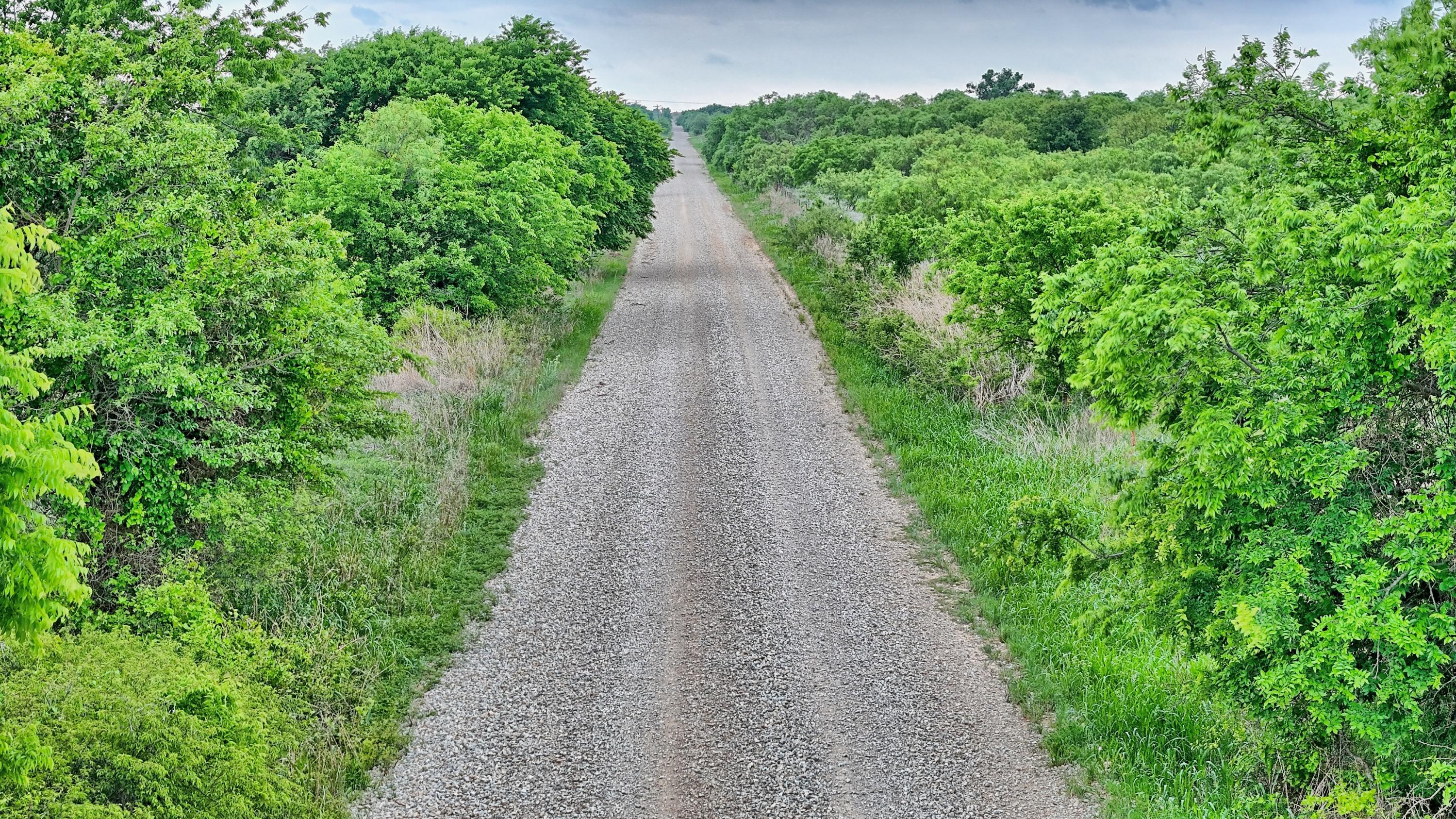  95 Acres in Clay County - 物件實景