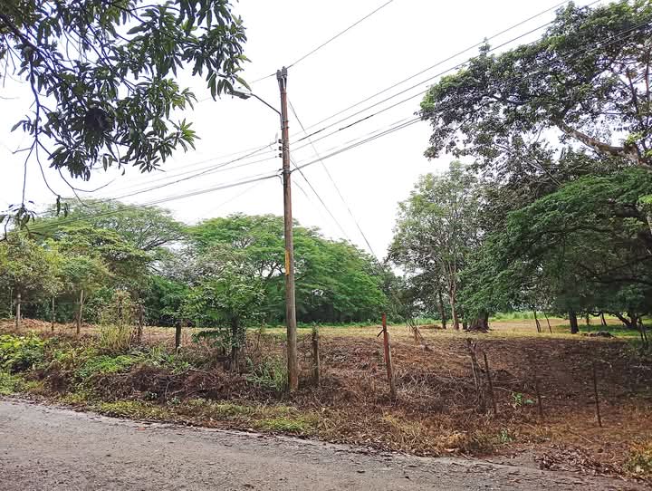 Liberia, Ca?as Dulces, Liberia, Guanacaste, CR, ,Land,For Sale,Liberia, Ca?as Dulces,1682703