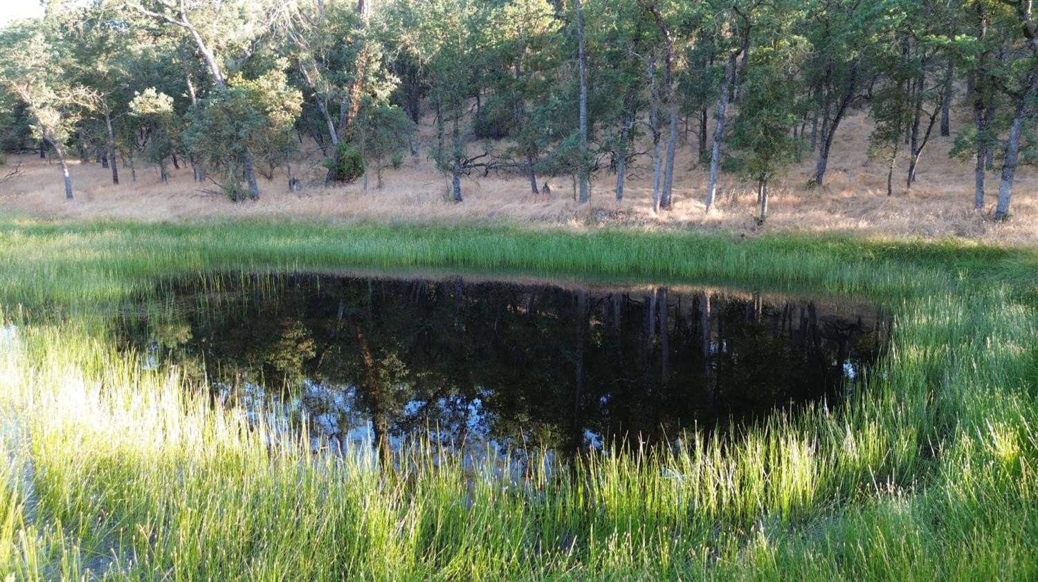 Burson, California, 95225, United States, ,Residential,For Sale,1915097